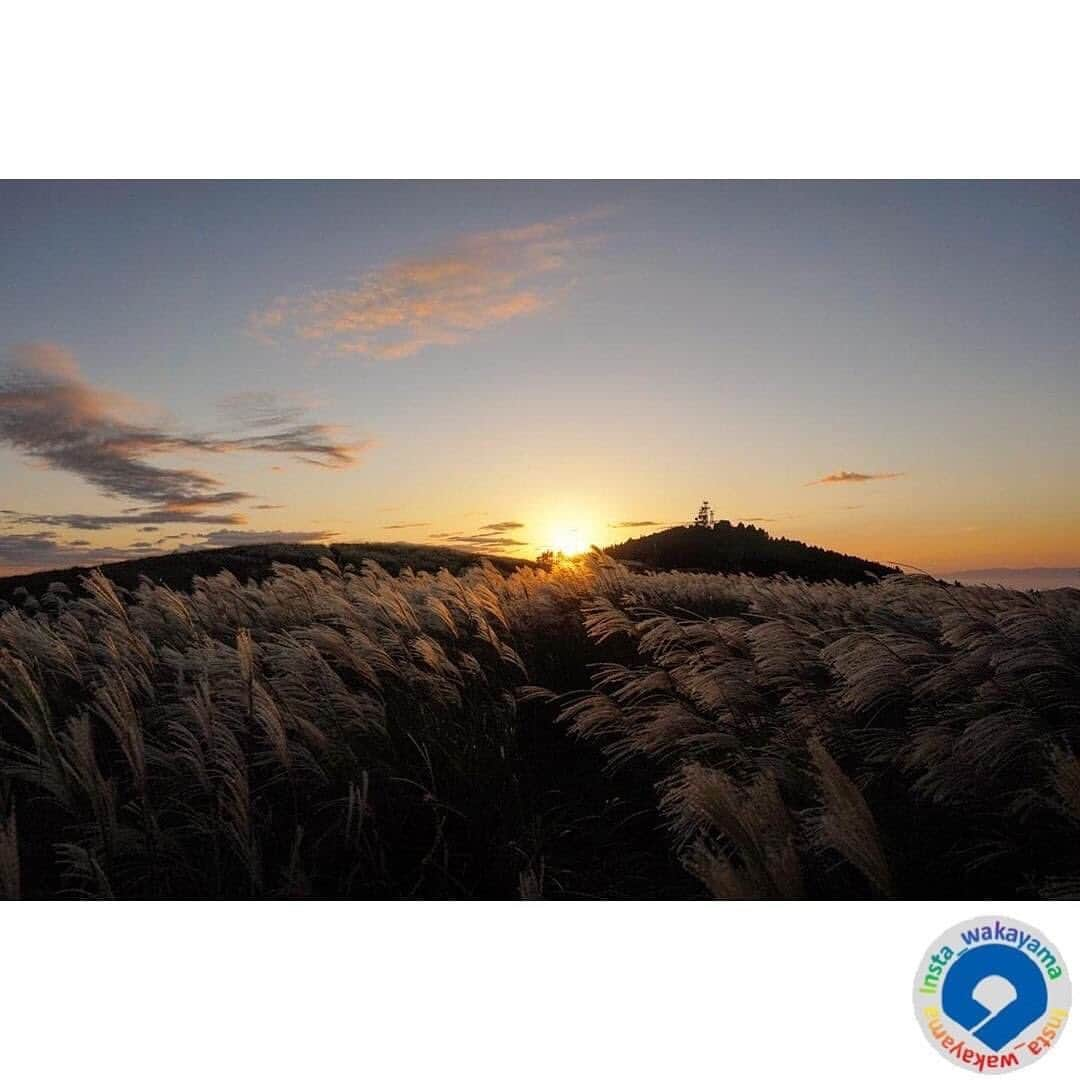 和歌山県さんのインスタグラム写真 - (和歌山県Instagram)「. Insta_Wakayamaでは、皆さんがハッシュタグをつけて投稿してくださった写真から、素敵な写真をご紹介させていただきます！ 本日は、和歌山県観光連盟とのコラボ企画「 #グッドトリップ和歌山 」投稿キャンペーンの月間優秀賞（２０２０年１１月）作品をご紹介いたします。 今回は２０枚ものお写真が優秀賞として選ばれましたので、先週に引き続き１０枚をご紹介します！ . まず１枚目から順に  @k_photo375 さん @kuridaifuku_ さん @yuzumonakaa.n_n さん @nayusan8 さん @suzuyaki381 さん @ma2you2mei3 さん @kawai.photo さん @saigont528 さん @sachika232018 さん @kaz_sora.5000 さん  以上10名のお写真です。 . ここ数年、秋は通り過ぎるのが早かったですが、今年は少し長く秋の景色を写真を通して感じることができました（^^）  参考：https://www.wakayama-kanko.or.jp/goodtrip/ （和歌山県観光連盟HP） . @insta_wakayama では、引き続き #グッドトリップ和歌山 投稿キャンペーンを開催中です！ 和歌山県の素敵なお写真を投稿していただいた方々の中から、毎月10名様にプレミア和歌山商品（5,000円相当）をプレゼント🎁します！ 詳しくは @insta_wakayama のプロフィールにあるURLをチェックしてください。 また和歌山に関する投稿にはぜひ「 #insta_wakayama 」ハッシュタグをつけてください★ 和歌山の魅力を皆さんで発信していきましょう！ ハッシュタグをつけるとともに、写真の場所の記載や位置情報の登録をしていただければ幸いです🎵 . #和歌山県 #観光和歌山 #風景 #風景和歌山 #なんて素敵な和歌山なんでしょう #wakayama #insta_wakayama #wakayamagram」12月28日 10時38分 - insta_wakayama