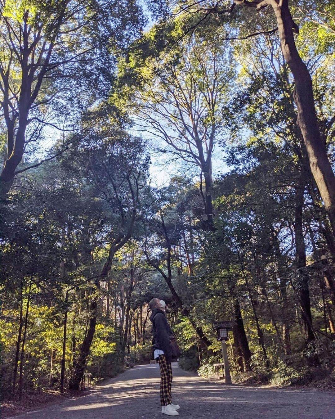 acaneのインスタグラム：「・ 明治神宮を散歩してきた✨  たくさん空気を吸って、 のんびり自然を見ながら歩きました  あんまり神社とか、占いとか 信じないタイプなんやけど  すごく頭がスッキリしてる気がしたけん これからはちょくちょく行こうかな🐲笑  2021年いい年になりそう〜！✨  #明治神宮 #Googleのスマホ #pixelで撮影」