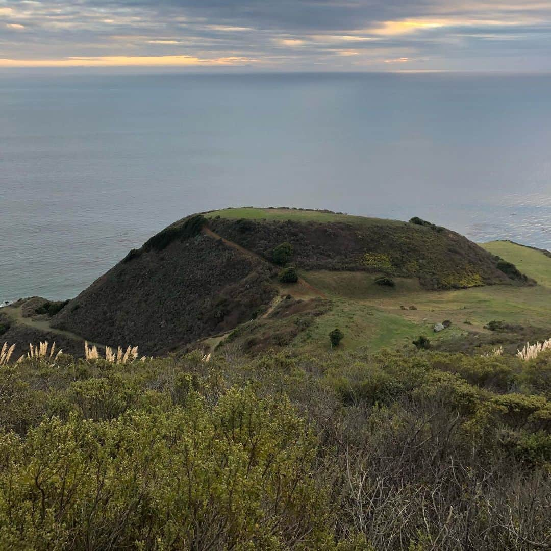 D・W・モフェットのインスタグラム：「Another Big Sur Xmas.  Thank you, Mr. California. #grateful #bigsurcoast」