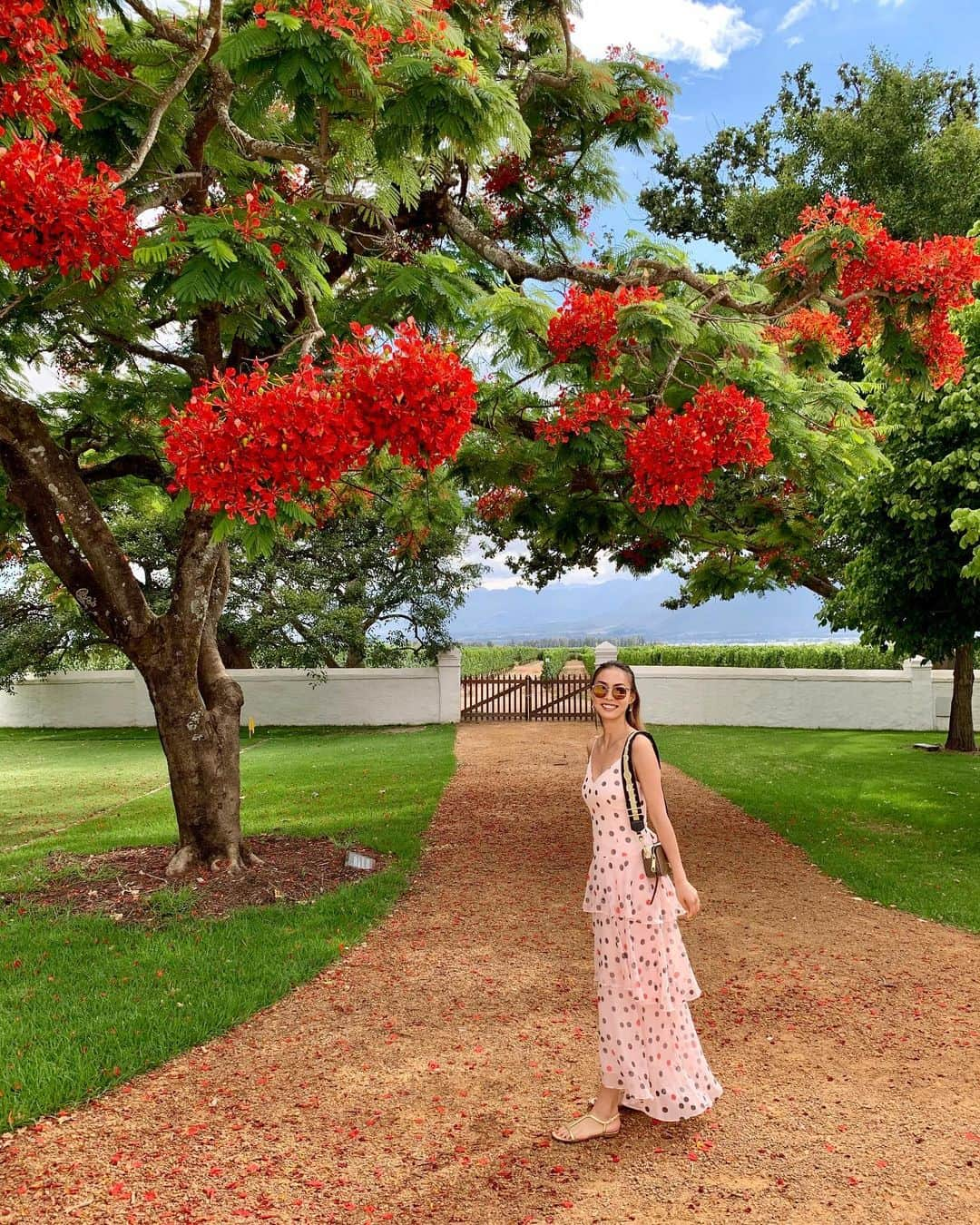 美馬寛子さんのインスタグラム写真 - (美馬寛子Instagram)「Beautiful wine region of South Africa,  Franschhoek 🍷🍇🌺  . . . . . . #southafrica #capetown #cityofcapetown #exploresouthafrica #southafricaza #mountain #wowsouthafrica #explore #travel #africa #travelafrica #vineyard #cape #garden #tree #summer #travel #holiday #Franschhoek #flower」12月28日 11時10分 - hirokomima