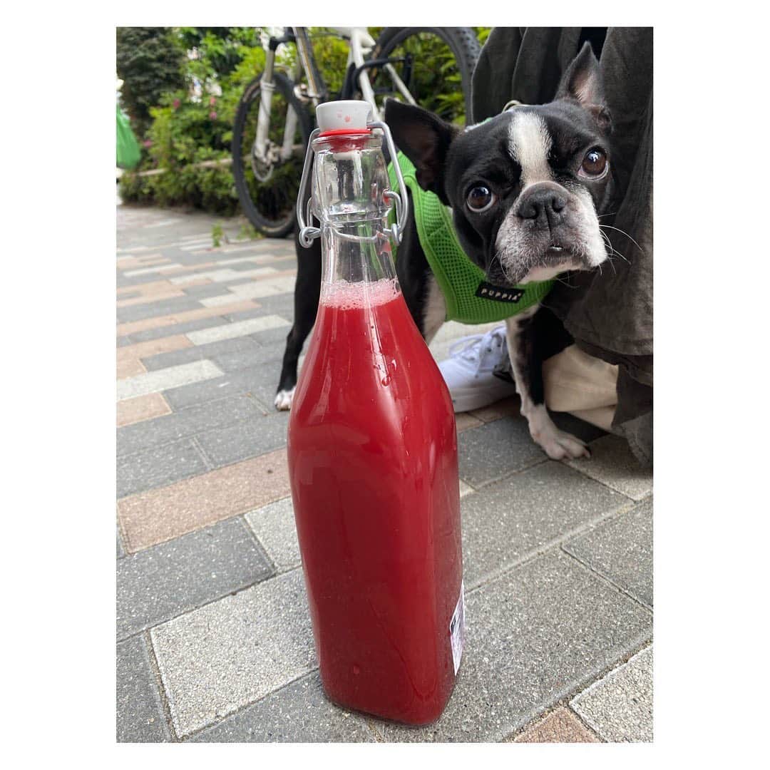 Sunshine Juiceのグルメインスタ