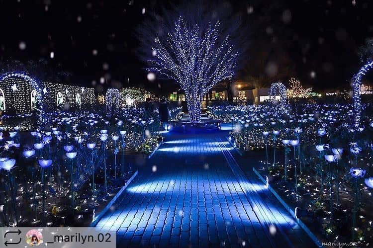東京カメラガールズさんのインスタグラム写真 - (東京カメラガールズInstagram)「. . 今回のフィーチャーは @_marilyn.02  さんの素敵な1枚👏 ご投稿ありがとうございます！ そして、おめでとうございます✨  これからもお写真の投稿楽しみにしています😊✨ ぜひ皆さんも、#カメラガールズ #東京カメラガールズ をつけて投稿してみてくださいね！ 素敵な写真を見つけ次第、こちらのアカウントでご紹介させていただきます😊 . . . . ＼部員募集／ カメラガールズメンバーになると 楽しいイベントや貴重な体験が 盛りだくさん！ 🖥 www.camera-girls.net カメラガールズ で検索してぜひ部員登録してね！ 登録は無料です(*´ᴗ`*)♪ . . . .」12月28日 11時34分 - tokyocameragirls
