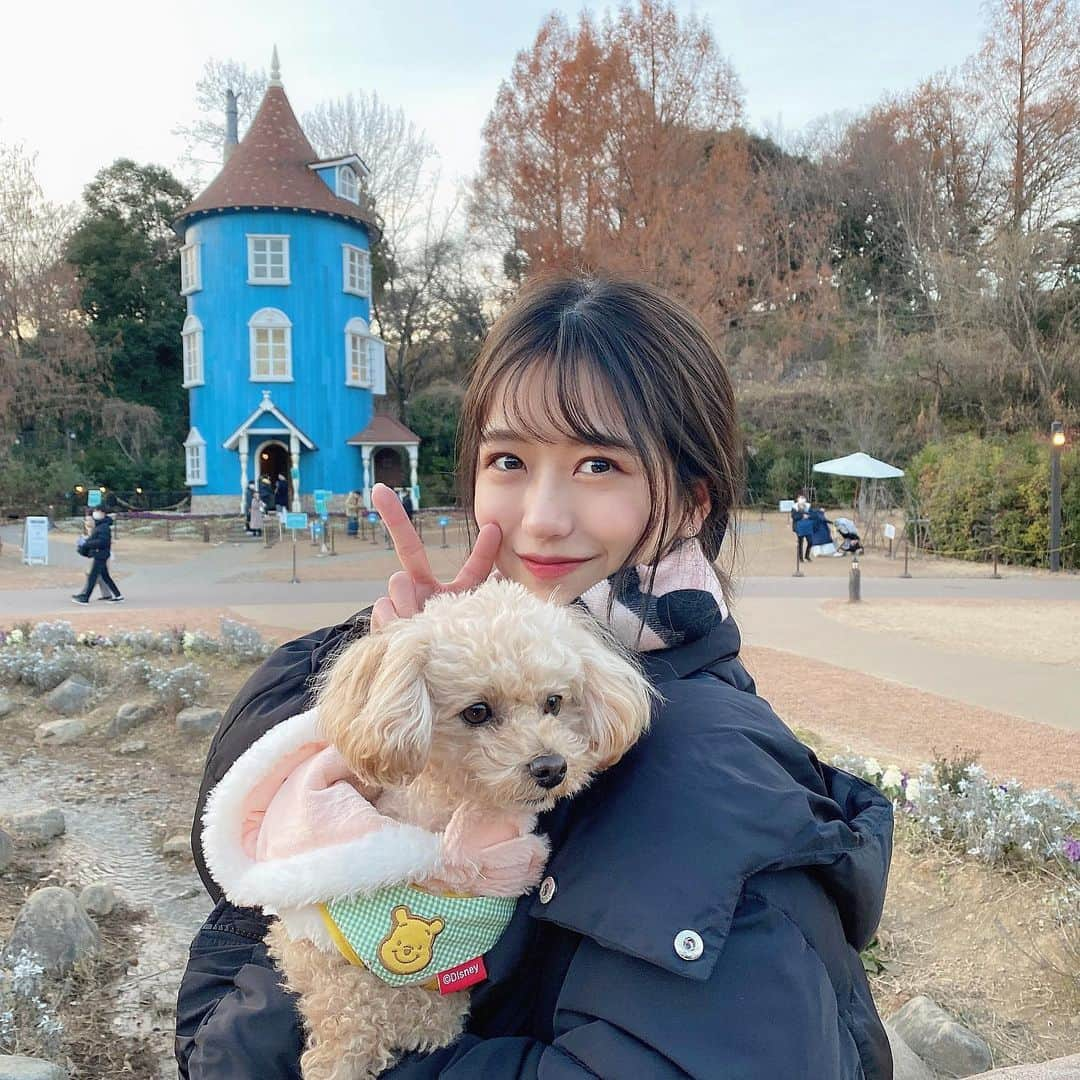 篠崎彩奈さんのインスタグラム写真 - (篠崎彩奈Instagram)「先日ムーミンバレーパークへ ドライブしました🐶♡ とっても楽しかった〜  わんちゃんも入れるので もなちゃんも大喜びでした😆‼︎  ずっと行きたかった場所なのでいけて嬉しかったです☺️ みんなも落ち着いたらぜひ、埼玉遊びきてね☺︎ #飯能 #ムーミンバレーパーク #ムーミン谷 #飯能ドライブ #埼玉ドライブ #飯能観光 #トイプードル」12月28日 21時09分 - ayana.s_official