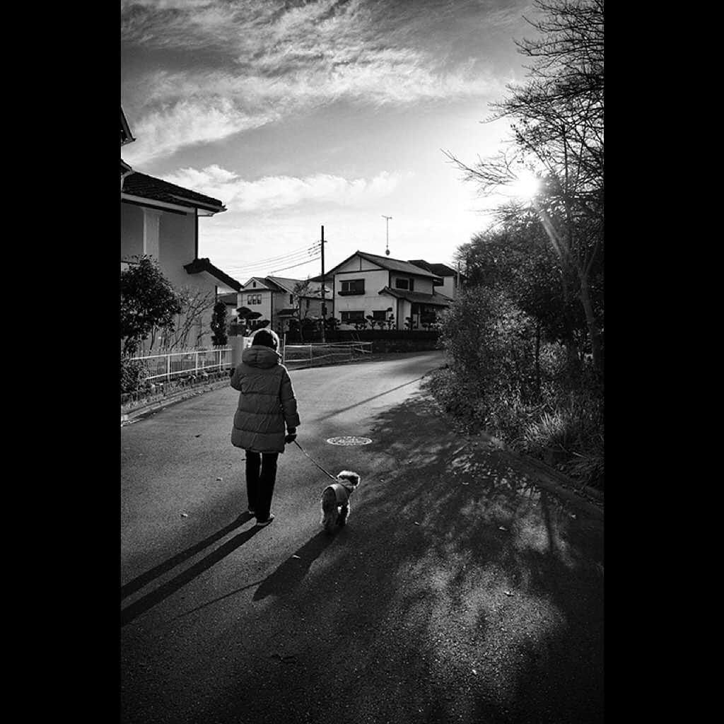 Tatsuo Suzukiさんのインスタグラム写真 - (Tatsuo SuzukiInstagram)「Neighborhood」12月28日 21時16分 - tatsuo_suzuki_001