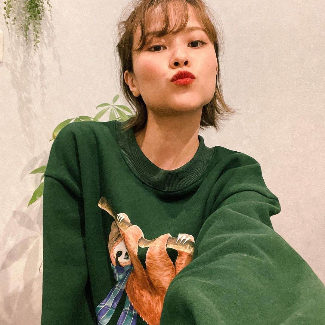 MiracleVellMagicのインスタグラム：「うふふ🦥🌿  #sloth #slothsweatshirt」