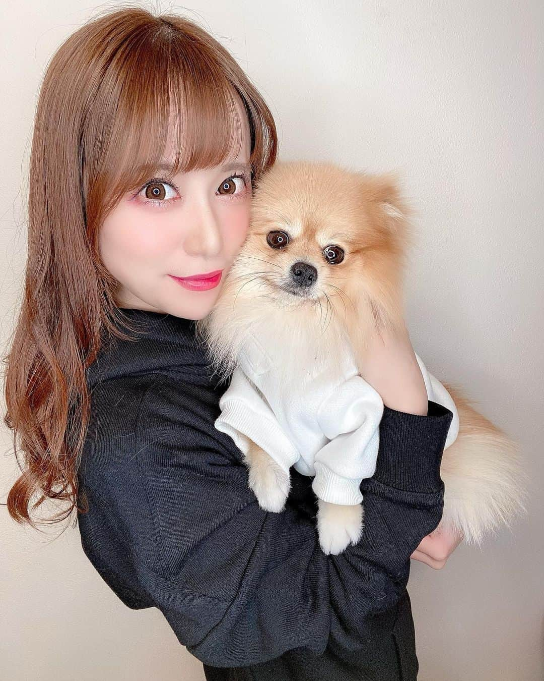 初美りんのインスタグラム：「tails tales(テイルズテイルズ)さんのモデルを﻿ やらせて頂くことになりましたっ🥺♥️♥️﻿ ﻿ このブランドは飼い主さんとわんちゃんが﻿ お洋服お揃いで着れるブランドだよ😭🥺💖💖﻿ めっちゃ良くないですか！？☺️🤍🤍﻿ ﻿ 男女どちらも着れるデザインなので﻿ 是非皆さん愛犬と一緒に、もしくはりんりんと﻿ パーカーお揃いにしよう♡♡﻿ ﻿ ﻿ #tailstales2020 ﻿ #リンクコーデ　#ポメラニアン　#dogcode #愛犬とペアルック #ドッグウェア #パーカー女子　#愛犬との暮らし」