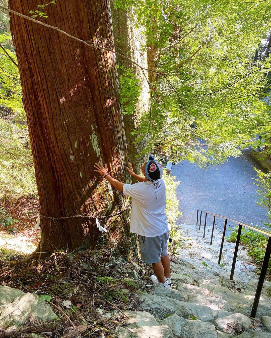 あっくんさんのインスタグラム写真 - (あっくんInstagram)「彼女がいない俺は、木（気）にしがみつく！ 何年も何十年も何百年もこの地に根を張り、歴史を誰よりも感じている木。 パイセン達に敬意を払い、色々と与えてもらってます！！」12月28日 21時53分 - akkun_shibuya