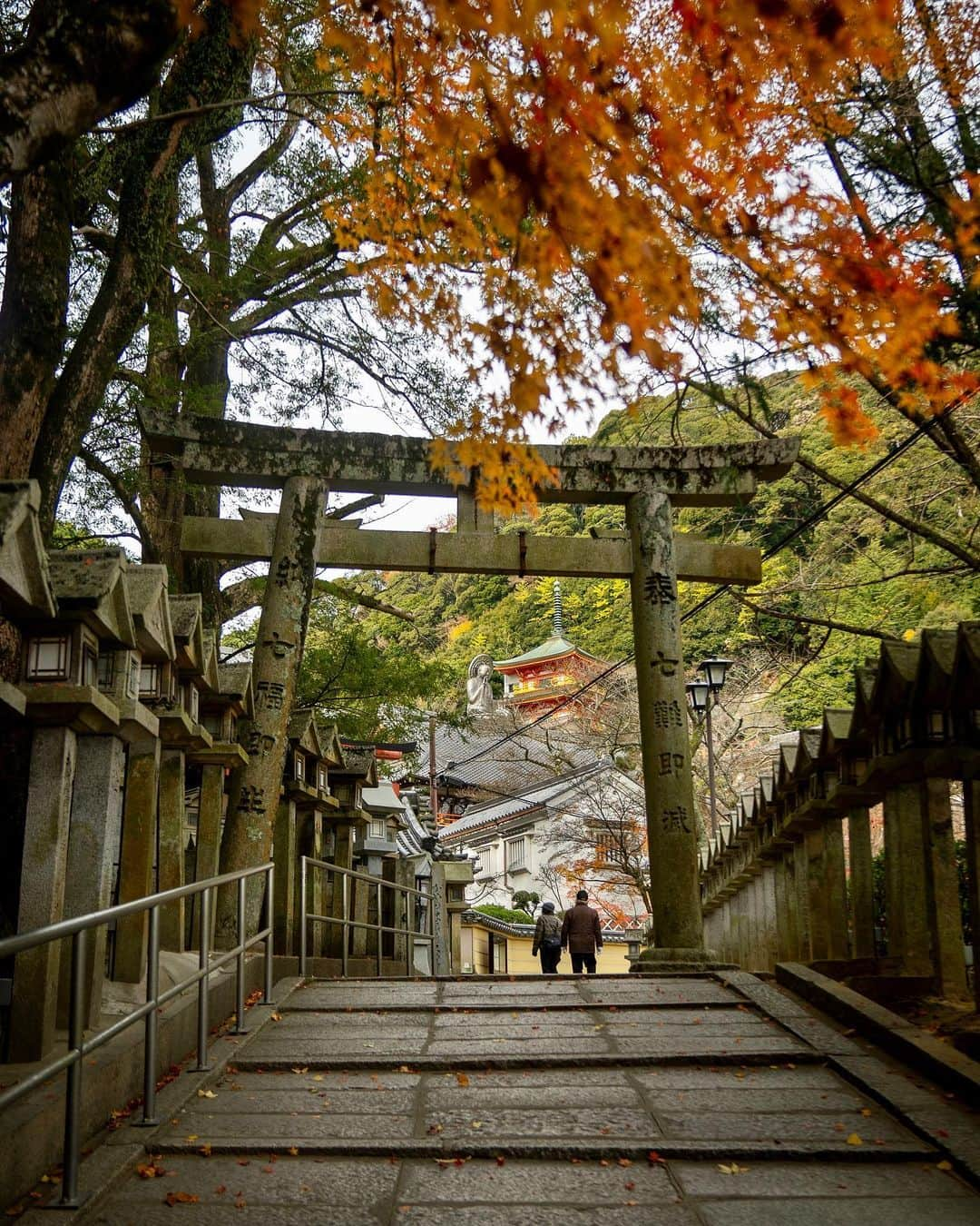 Koichiのインスタグラム：「.  Workation experience at a temple's Shukubo Vol.3  ＊お寺の宿坊でリモートワークしてみた＊  奈良 信貴山にある宿坊に1週間滞在し、仕事をしながら時々息抜きもというワーケーションをしてきました。宿坊は、広大な朝護孫子寺の境内にあってとても静かな環境。和室にコタツという部屋が、リラックスできてとても良かったですよ。 1週間分の荷物は結構な量に。部屋に広げながらちょっと写真撮ってみました。写ってないけど、カップ麺とかドリップ珈琲も持込みました 笑  1st / 朝護孫子寺の山門から宿坊 玉蔵院に向かう石畳の参道。ここを1週間で20往復は歩いたかも。  2nd・3rd / 宿坊 玉蔵院。この渡り廊下からの景色が最高です（ひとつ前の投稿、動画の最後のタイムラプスはここからの景色）  4th・5th / 宿坊の部屋にて。ひとりで14疊！コタツに入りながら庭を眺めてると、ついついウトウトと。これもまたよし。  6th・7th・8th / 今回の旅のパッキング。冬の旅は荷物が嵩張りますよね。あ、もちろんマスクも忘れてません。  #信貴山ワーケーション #奈良 #信貴山 #信貴山玉蔵院  #SAGOJO ,」