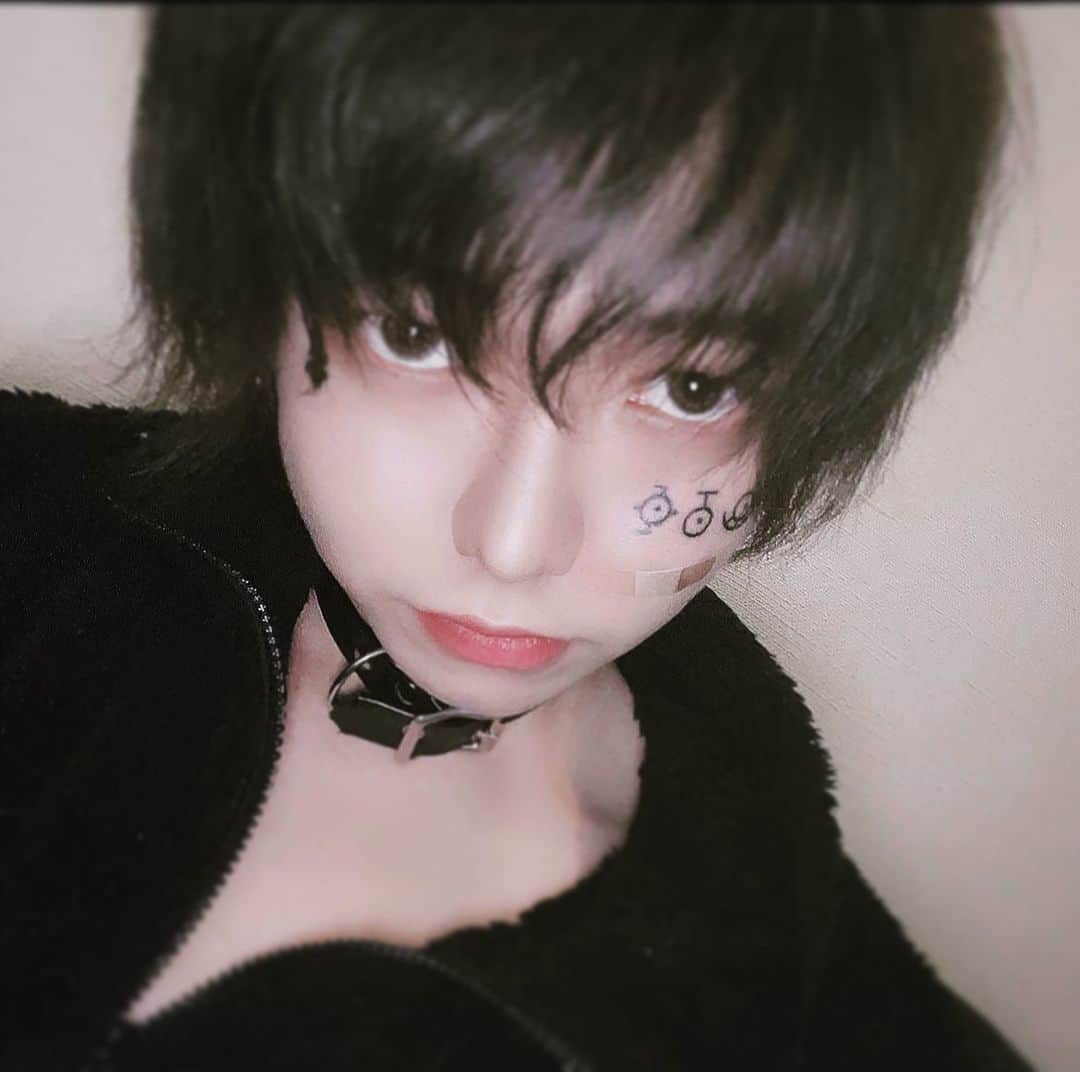 よききのインスタグラム：「誰にも飼われない」