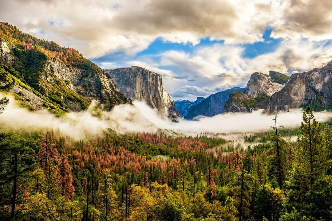 Lonely Planetのインスタグラム：「Though protected lands in the US are open to all, they’re not necessarily accessible to all – except for a handful of times per year, when the National Park Service (NPS) waives entrance fees at every site in the country. ⠀⠀⠀⠀⠀⠀⠀⠀⠀ ⠀⠀⠀⠀⠀⠀⠀⠀⠀ Tap the link in our bio to find out when the national parks will waive entrance fees in 2021.」