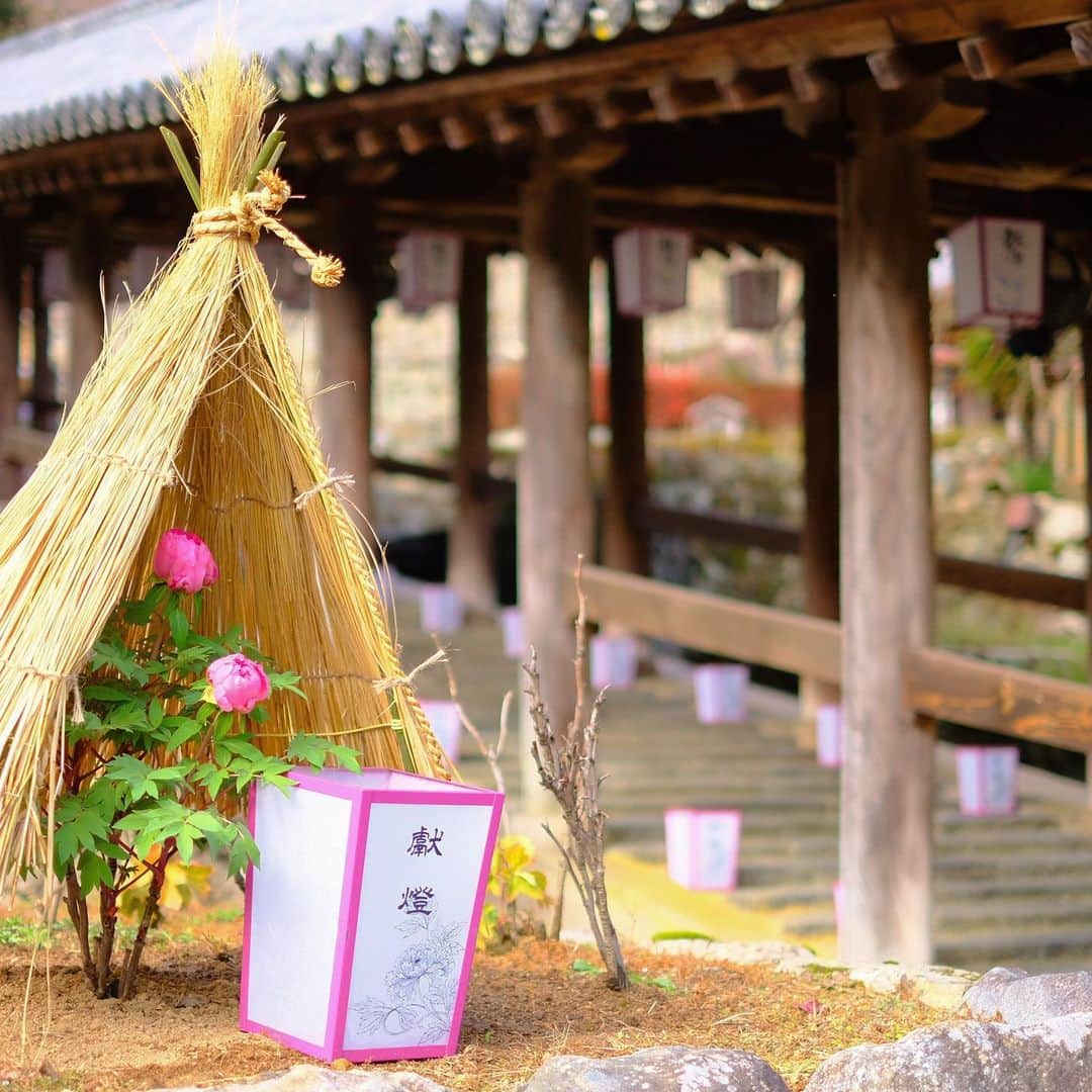 奈良 長谷寺 / nara hasederaのグルメインスタ