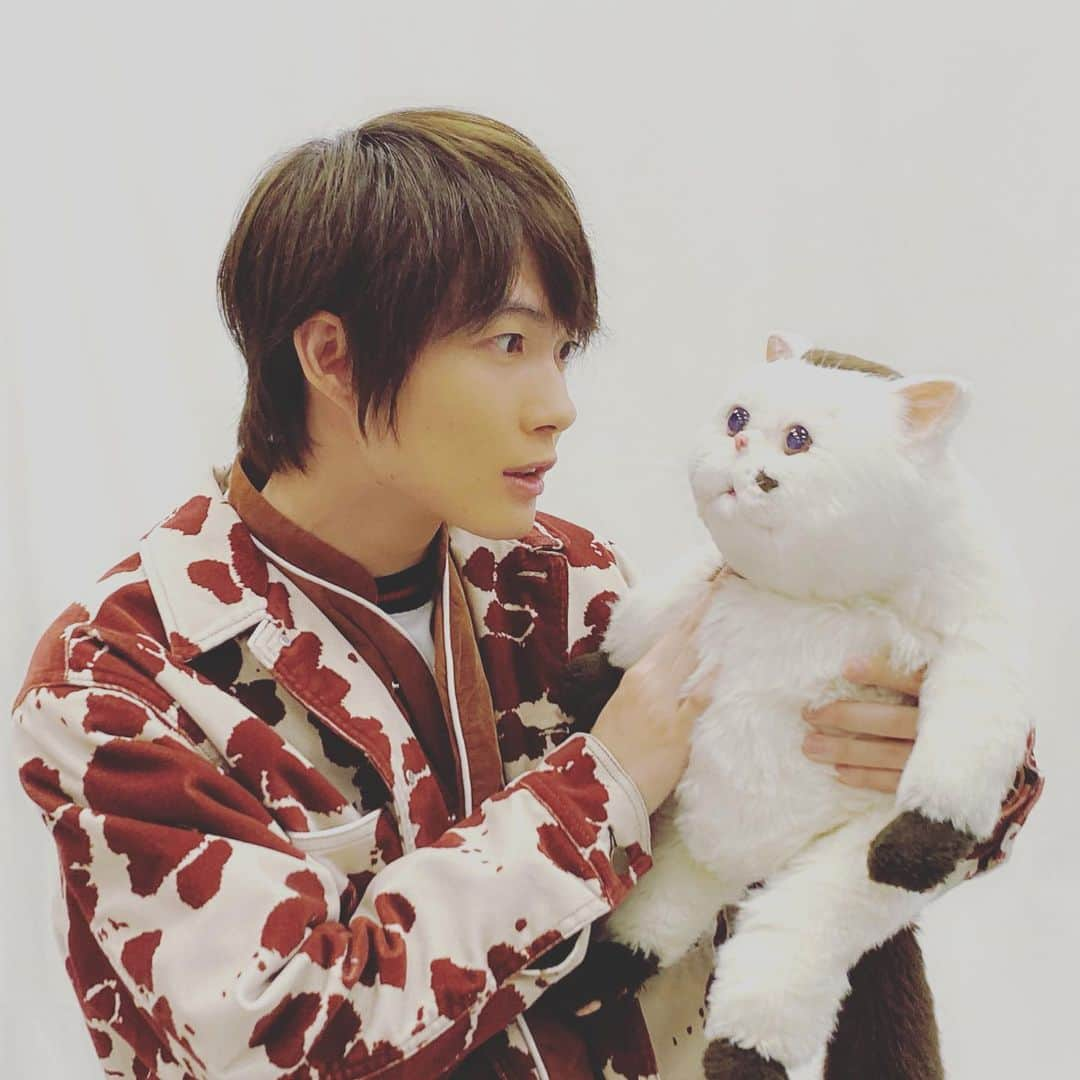 神木隆之介さんのインスタグラム写真 - (神木隆之介Instagram)「ドラマParavi 『おじさまと猫』🐾  2021年1月6日(水)深夜0時58分スタート！  paravi では1月1日(金)夜9時から 独占先行配信！  お楽しみに🐱  ・ 先日の撮影にて、ふくまると仲良く自撮りをする神木。  2枚目は、顔マネしているそうです。  #神木隆之介 #おじさまと猫 #ふくまる」12月28日 14時04分 - kamiki_25th