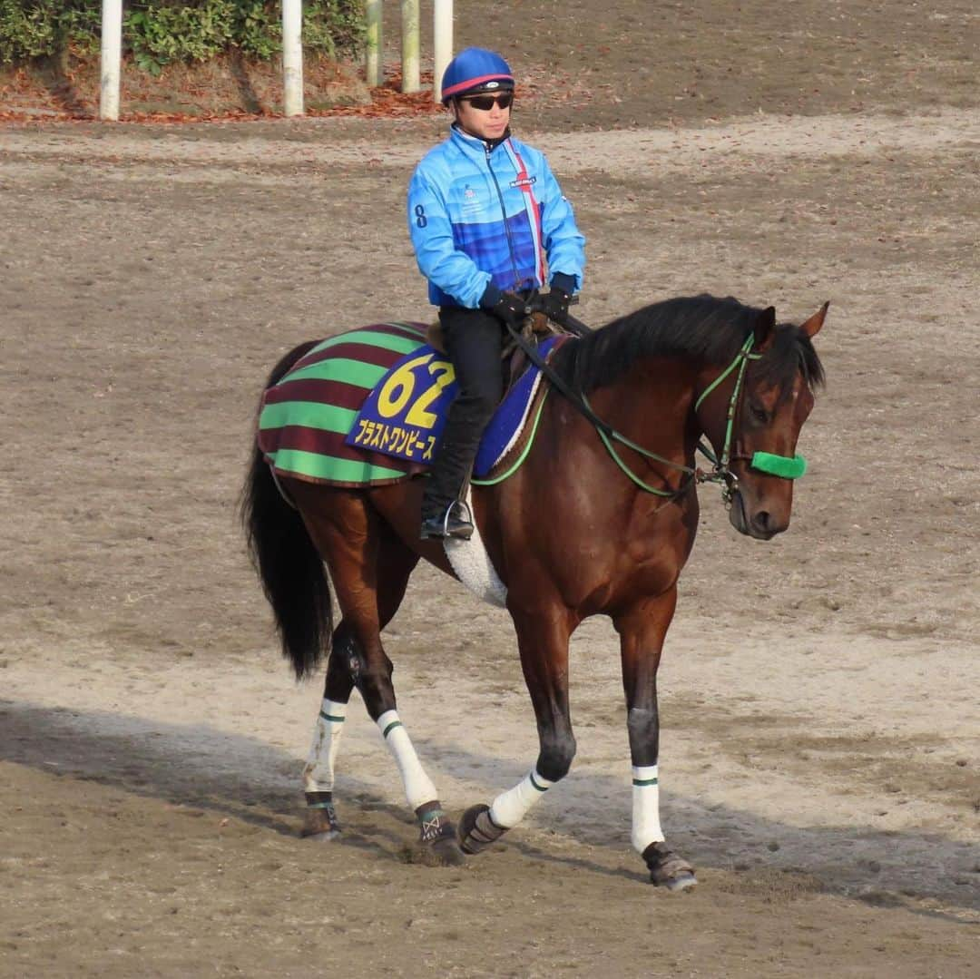 池添謙一さんのインスタグラム写真 - (池添謙一Instagram)「今年1年のシーズンも終わりました🐴 有馬記念は勝利を求められての敗戦でした。悔しいですし、申し訳なく思います。 でも自分の騎乗に後悔はありません。 イメージしたレースはできたと思ってます。 今年のはじめはこんな世の中になるとは思いもしませんでした。 競馬が中止にならずに継続できたのも、関係者の努力もありますが、無観客になってもファンの皆さんが支えてくださったおかげです。 まだ大変な時期は続きますが、1日でも早く終息し、たくさんの方の前でレースができるのを願っています🏇  今年1年応援していただきありがとうございました(^^) また来年も頑張っていきます‼︎」12月28日 14時51分 - kenchan.0723