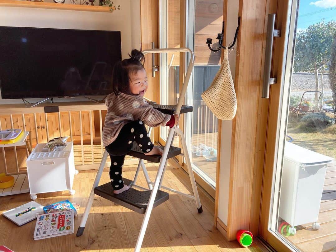 aco.さんのインスタグラム写真 - (aco.Instagram)「2020.12.28  窓掃除をした日、 ふと見たら娘がしゃかしゃかと #脚立 に登っていました  それはそれは嬉しそうに😂☺️  そうか、もうそんなことが 出来る頃になったんだなぁ  我が家は階段がないので 気付きませんでした😂  息子の時も ハイツ暮らし→この家 で 保育所はずっと1階だったので 階段に慣れず、 幼稚園に入園した時に苦労したのでした 笑  もちろんちゃんと見れる時だけだけど また階段遊びさせてあげよう😁 . . . . . さて、今日は 普段の買い出し（1週間分）と お節（1日の朝に食べる物だけ）や お年賀、お正月の花の買い物を  しめ飾りはここ数年、 100均の物に松などを足して リメイクしているのですが 今年はギリギリ  週末、バタバタしすぎて クリスマスリースも外すのも忘れてたし😂  何とか今日中にお正月飾りを 飾ろうと思います🎍 . . . . . #aco子育て記録 .」12月28日 15時38分 - aco.chaaaaan
