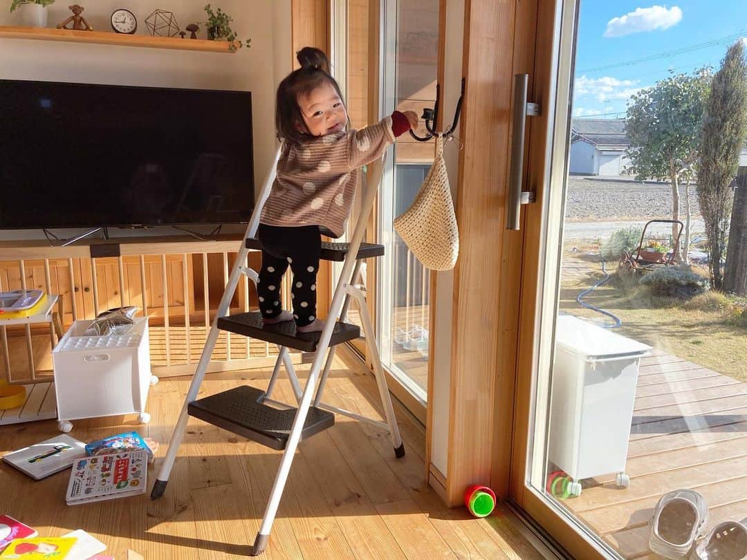 aco.さんのインスタグラム写真 - (aco.Instagram)「2020.12.28  窓掃除をした日、 ふと見たら娘がしゃかしゃかと #脚立 に登っていました  それはそれは嬉しそうに😂☺️  そうか、もうそんなことが 出来る頃になったんだなぁ  我が家は階段がないので 気付きませんでした😂  息子の時も ハイツ暮らし→この家 で 保育所はずっと1階だったので 階段に慣れず、 幼稚園に入園した時に苦労したのでした 笑  もちろんちゃんと見れる時だけだけど また階段遊びさせてあげよう😁 . . . . . さて、今日は 普段の買い出し（1週間分）と お節（1日の朝に食べる物だけ）や お年賀、お正月の花の買い物を  しめ飾りはここ数年、 100均の物に松などを足して リメイクしているのですが 今年はギリギリ  週末、バタバタしすぎて クリスマスリースも外すのも忘れてたし😂  何とか今日中にお正月飾りを 飾ろうと思います🎍 . . . . . #aco子育て記録 .」12月28日 15時38分 - aco.chaaaaan