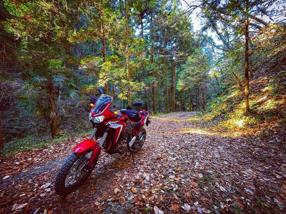 大鶴義丹さんのインスタグラム写真 - (大鶴義丹Instagram)「年末気分 . . . #crf1100L #africatwin #アフリカツイン #Titaniumexhaust #ケイファクトリー #kfactory #worldafricatwinriders  #worldafricatwinriderswashere  #worldafricatwin  #worldafricatwinlovers #zeta #dfg」12月28日 15時52分 - gitan.ohtsuru