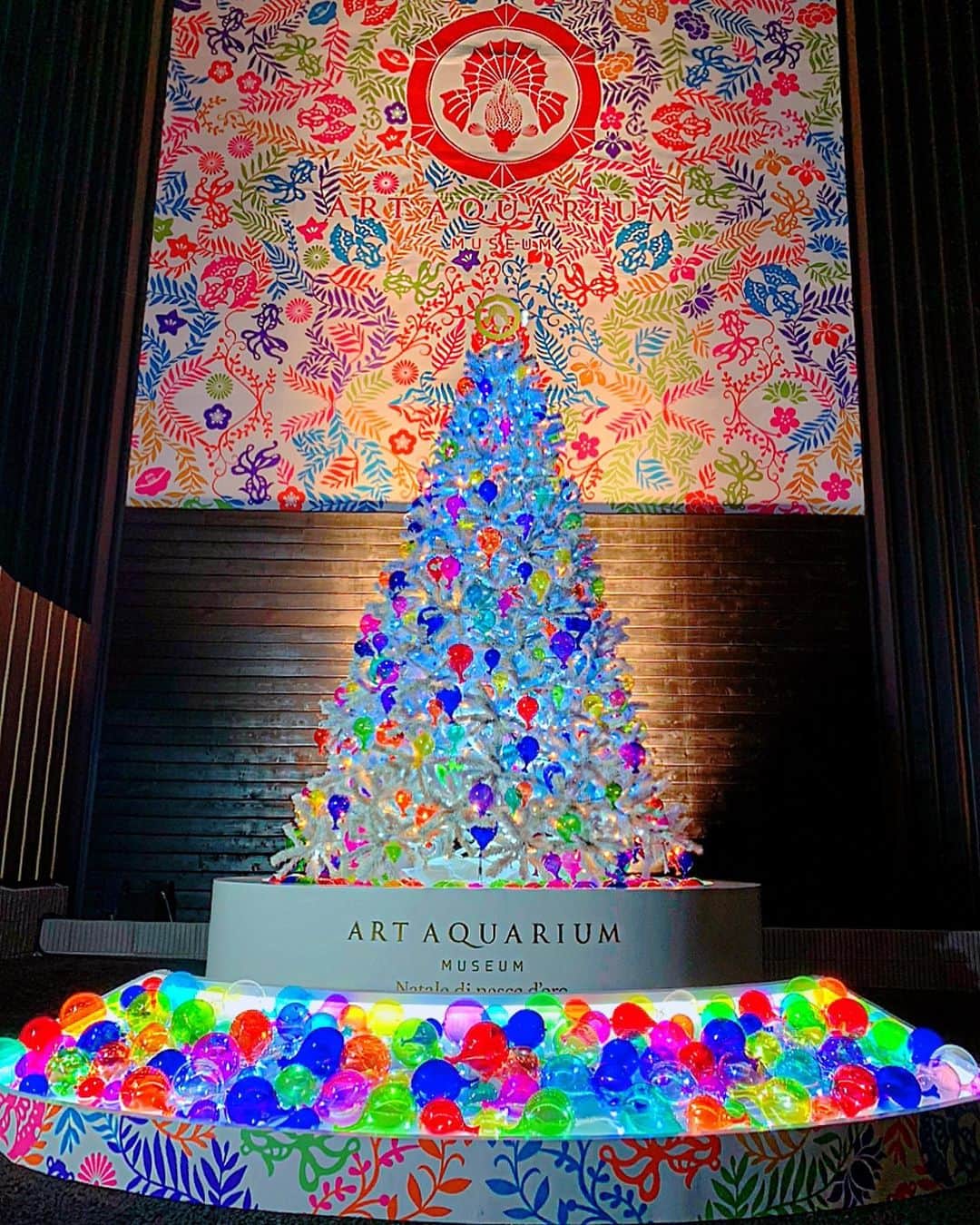 百合華さんのインスタグラム写真 - (百合華Instagram)「Goldfish ornamental Christmas tree at 『Art Aquarium Museum』🎄✨💕  #japan #日本 #tokyo #東京 #日本橋 #artaquariummuseum  #アートアクアリウム美術館 #christmastree  #xmastree  #クリスマスツリー #goldfish #金魚 #ornament #オーナメント #colorful #カラフル」12月28日 16時08分 - yurika.lovelily
