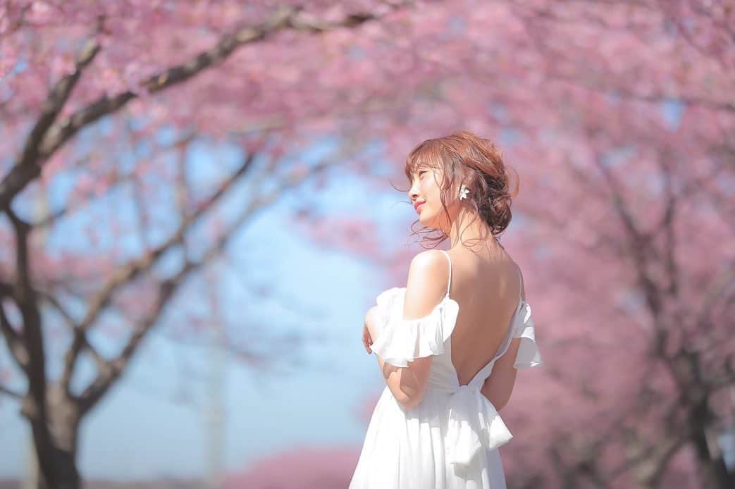 のインスタグラム：「🌸好評予約受付中‼️🌸﻿ ﻿  ご予約続々といただいております‼️‼️👀🌸 早い者勝ちです‼️この機会をお見逃しなく‼️ ﻿ 河津桜は他の桜よりもピンク色が強く﻿ 愛らしい色合いが特徴🌸﻿ 絵画のように美しい風景の中で、﻿ 幸せいっぱいの結婚写真を残せます！﻿ ﻿ ﻿ おかげさまでたくさんのお問い合わせ、﻿ 撮影のご予約をいただいております🙇‍♀️﻿ スタジオアクア6店舗でご予約受付中！﻿ お問い合わせはお早めに✨﻿ ﻿ ﻿ デコルテ公式アカウント﻿ ▷▷ @decollte_weddingphoto﻿ ﻿ スタジオアクア富士店🗻﻿ ▷▷ @studioaqua_fuji﻿ ﻿ スタジオアクア横浜みなとみらい店﻿ ▷▷ @studioaqua_yokohama﻿ ﻿ スタジオアクア表参道渋谷店﻿ ▷▷ @studioaqua_shibuya  ﻿ スタジオアクア新宿店﻿ ▷▷ @studioaqua.shinjuku  ﻿ スタジオアクア浅草店﻿ ▷▷ @studioaqua_asakusa  ﻿ スタジオアクア立川店﻿ ▷▷ @studioaqua_tachikawa229  ﻿ ﻿ ＼オンライン撮影相談会スタート✨／﻿ パソコン・スマートフォンから﻿ 前撮り、フォトウエディングの相談が可能！﻿ 当店HPよりご予約受付中！﻿ ﻿ ﻿ お得な割引キャンペーンも実施中！﻿ HPを要チェック✔﻿ ﻿ ﻿ #d_weddingphoto﻿ #スタジオアクア﻿ #スタジオアクア横浜店﻿ #スタジオアクア富士店﻿ #撮る結婚式﻿ #ウェディング﻿ #ウェディングフォト﻿ #フォトウェディング﻿ #フォトスタジオ﻿ #花嫁﻿ #プレ花嫁﻿ #卒花嫁﻿ #関東花嫁﻿ #関西花嫁﻿ #横浜花嫁﻿ #前撮り﻿ #後撮り﻿ #結婚式﻿ #結婚式準備 ﻿ #ヘアメイク﻿ #ヘアアレンジ﻿ #洋装前撮り﻿ #和装前撮り﻿ #ドレス試着﻿ #ドレス迷子﻿ #ウェディングフェア﻿ #プレ花嫁さんと繋がりたい﻿ #全国のプレ花嫁さんと繋がりたい﻿ #日本中のプレ花嫁さんと繋がりたい﻿ #河津桜」