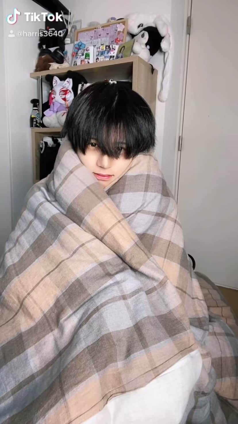 ハリスのインスタグラム：「飼って下さい」