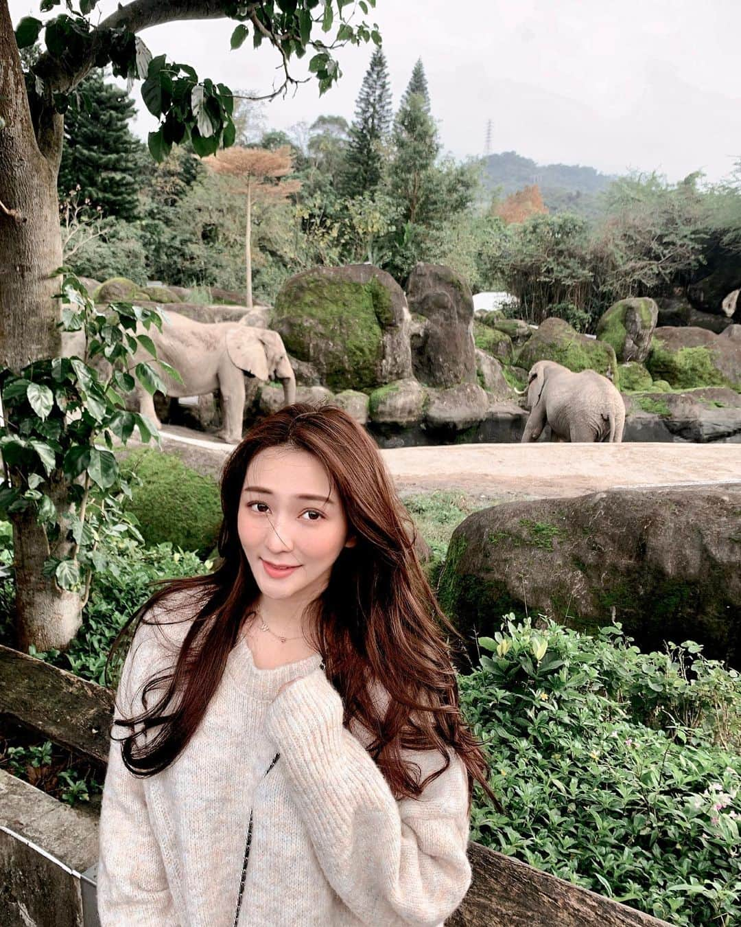 漢娜Hannahさんのインスタグラム写真 - (漢娜HannahInstagram)「只有來動物園的時候 才會覺得自己像個人🐒」12月28日 16時34分 - callmetsts