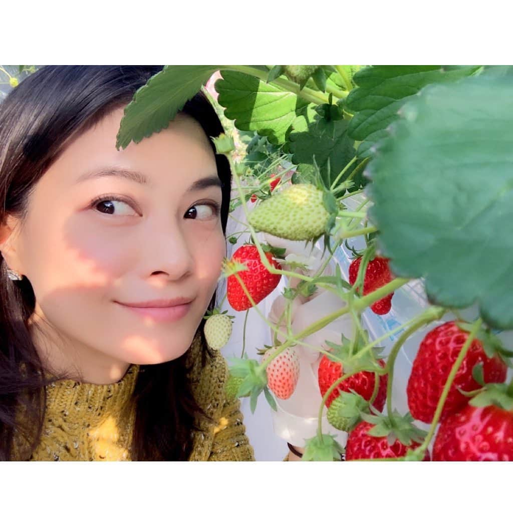 のインスタグラム：「自分と向き合う🍀 それが怖いと感じてしまう方もいると思います。 変わる事は、とても勇気のいる事 生まれ変わると決意をされて 私の所に来てくださるご縁のある出会い😊 どれだけ我慢をして、人のためばかりに愛を持って生きてこられたのかが、ご本人以上にわかってしまったり🥺 もう、自分を犠牲にして、人に尽くすだけの人生は終わりにしてもいいのではないかな？？ それよりも、まずは自分の事を一番大切にしてあげる事。それが、何よりもまわりの人を幸せにする事に繋がるんです✨ もっともっと、これまで以上にまわりを幸せにする事ができるんです✨✨ 自分の心の声を無視しないであげてくださいね💖  #いちご狩り#苺#食べ放題#美味しい#新鮮#大地の恵み#愛#delicious#fun#good#friend#happy#love#happiness#good#smile#tokyo#japan」