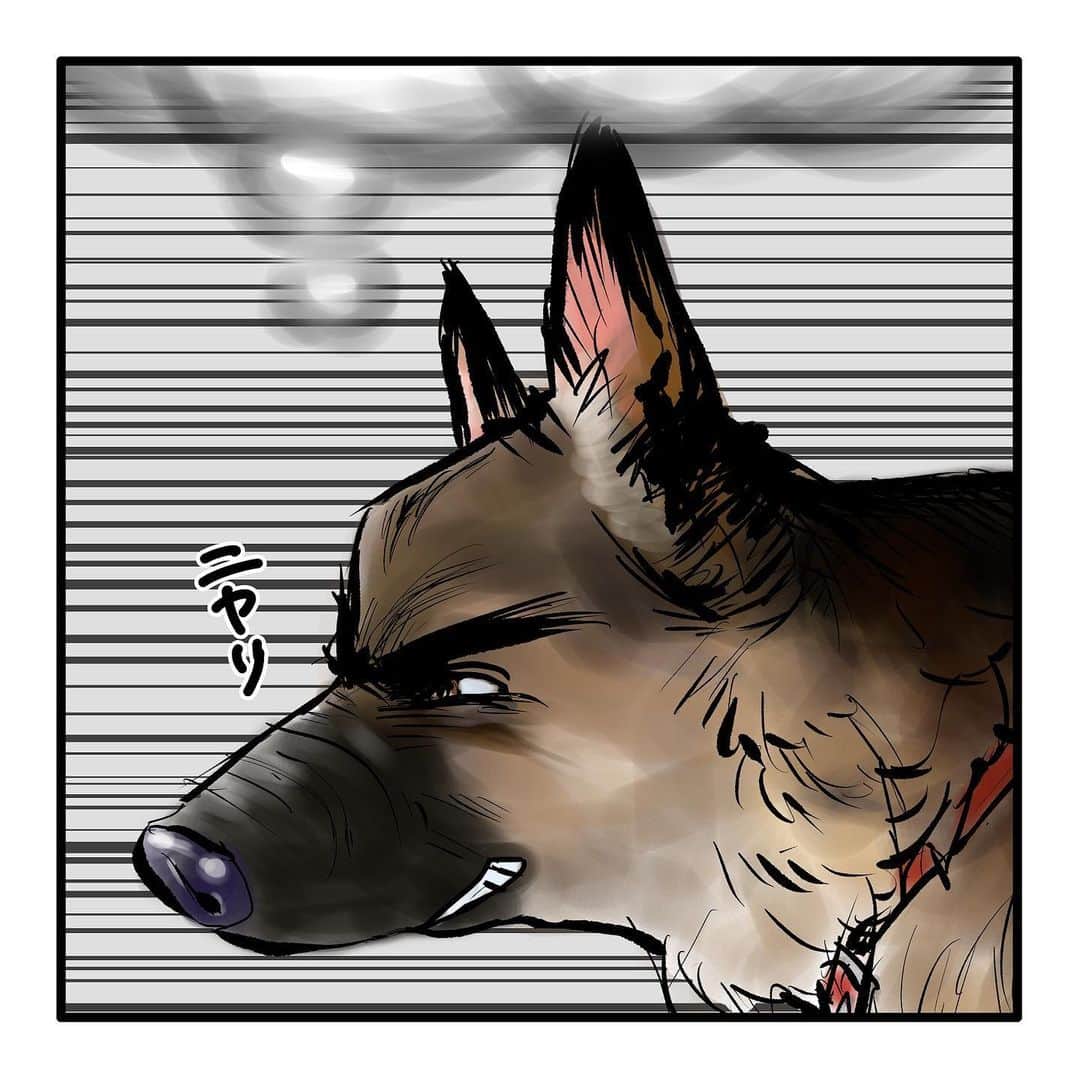 てらりんさんのインスタグラム写真 - (てらりんInstagram)「『ゴボウ』まとめ読み10-⑧  #漫画 #マンガ #まんが #インスタ漫画 #創作 #コミック #イラスト #犬 #シェパード #ゴボウ #manga #comic #illustration #art #drawing #dog #germanshepherd #alsatian #gobo」12月28日 16時39分 - terarin08