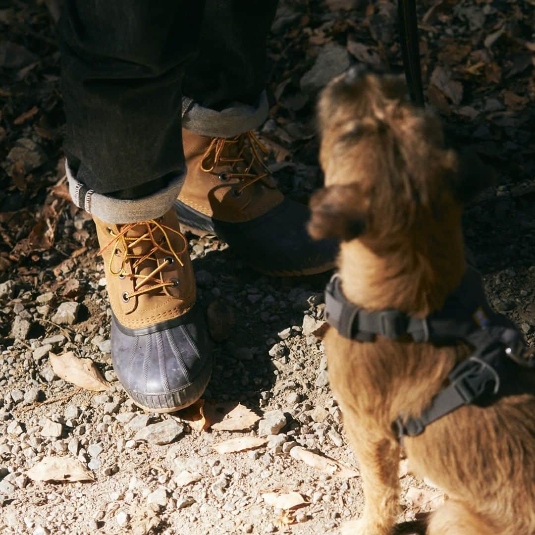 sorel_jpさんのインスタグラム写真 - (sorel_jpInstagram)「Cheyanne Ⅱ style -Morning walk with dog-  全天候に対応可能な防水・防滑性を搭載したインシュレーションブーツ。澄んだ冬の空気を感じて、愛犬と朝の散歩を楽しむ。  Men's：CHEYANNE Ⅱ  #sorel #cheyanne #ソレル #シャイアン #ブーツ #NM2575 #cs_jp」12月28日 17時00分 - sorel_jp