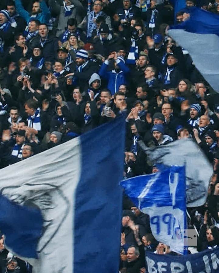 ヘルタ・ベルリンのインスタグラム：「@bundesliga - The league to follow. ✊   #TheLeagueToFollow #HaHoHe #herthabsc」
