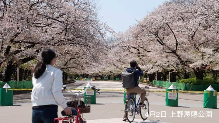 東京都庁広報課のインスタグラム