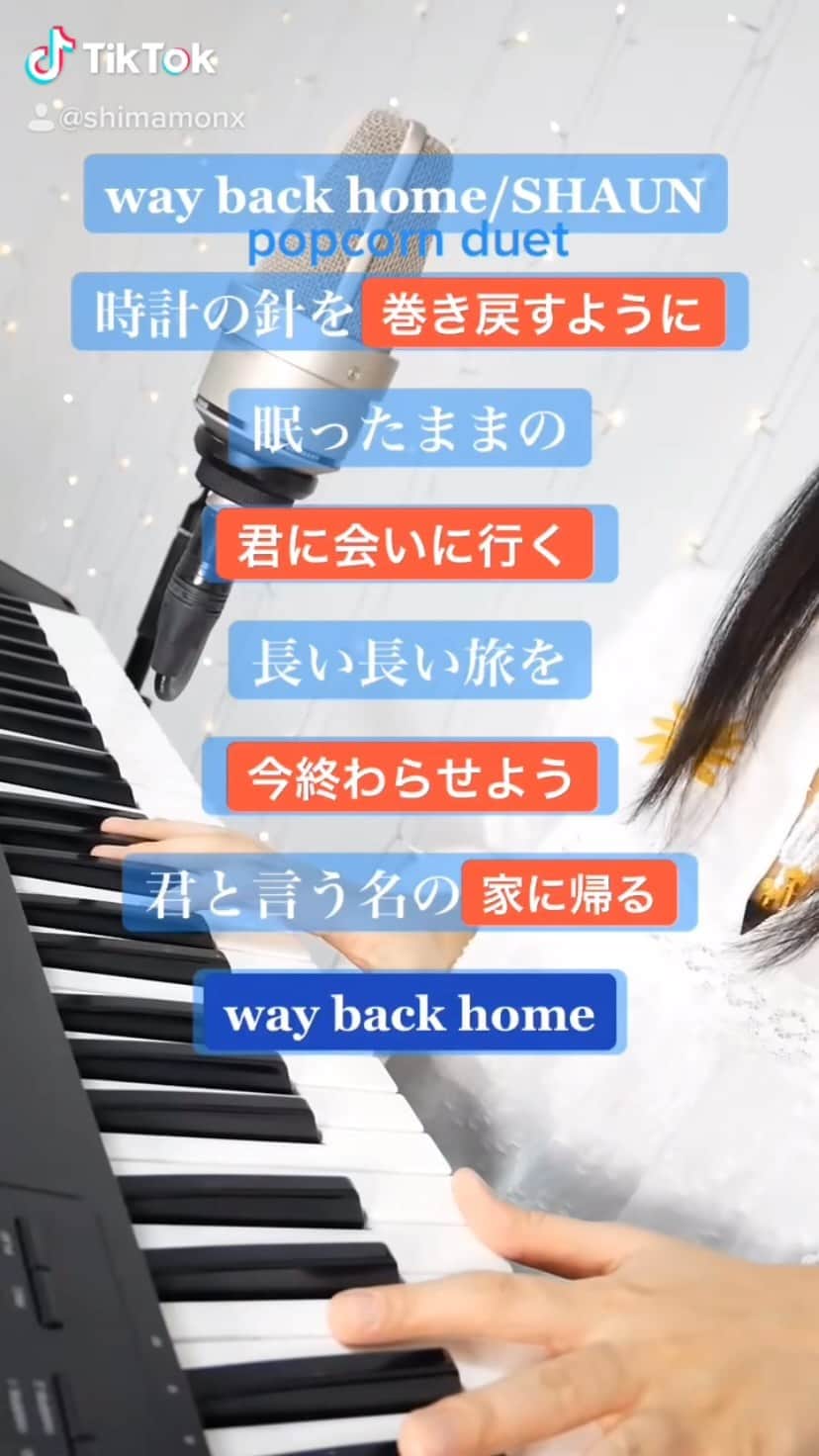 しまものインスタグラム