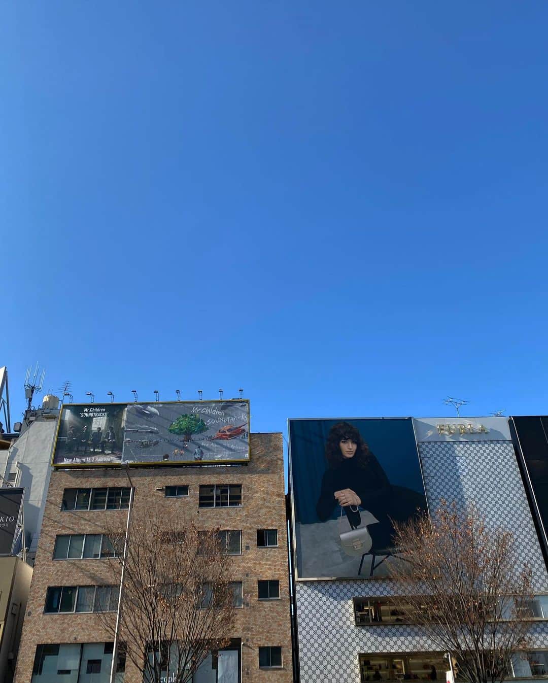 柴田紗希さんのインスタグラム写真 - (柴田紗希Instagram)「今日はすごく年末を感じました 東京、綺麗な空だったよ☺︎ そちらはどうでしたかい？😊」12月28日 17時52分 - shibasaaki