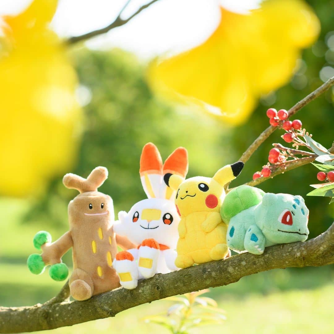 ピカチュウ公式Instagramのインスタグラム