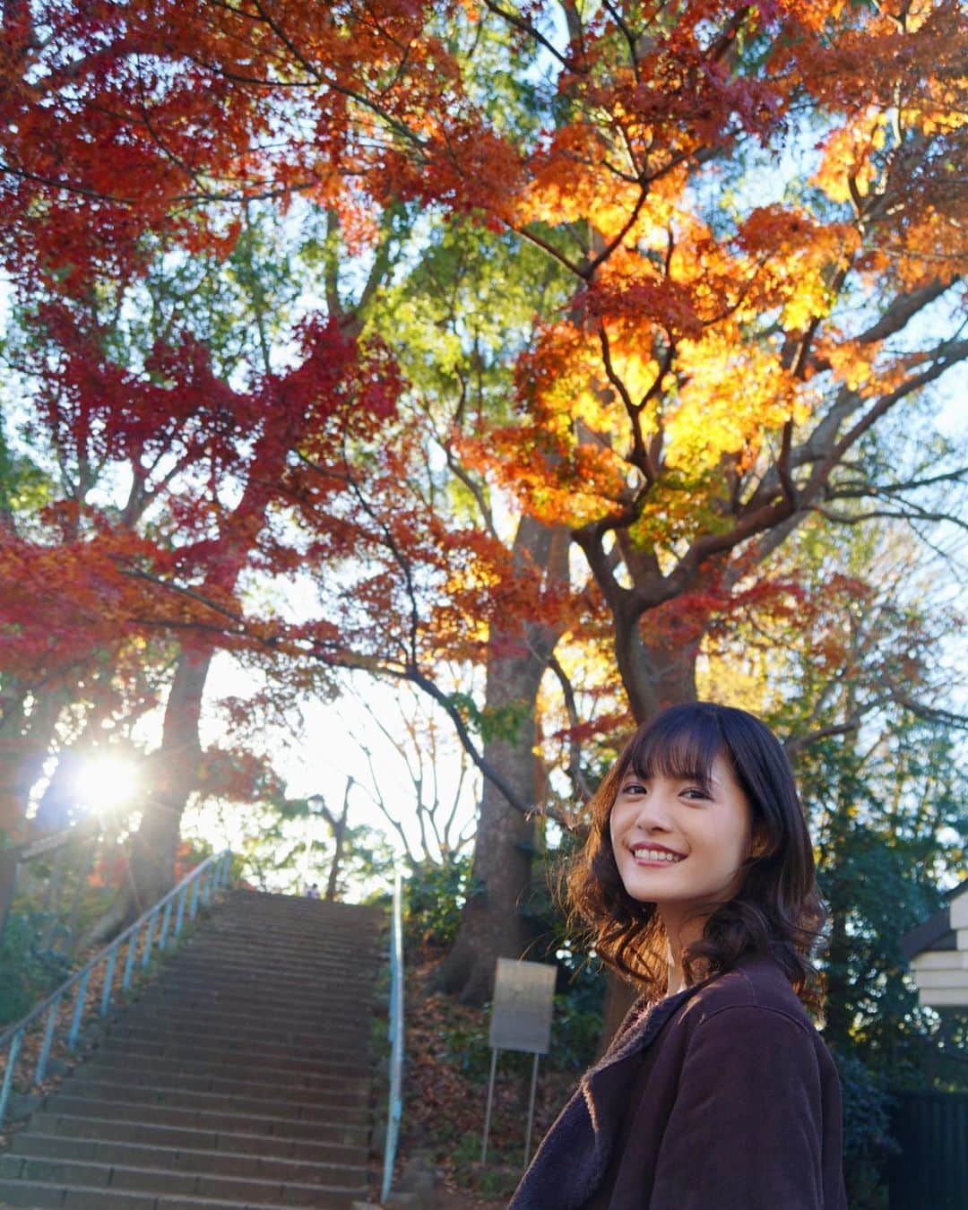 美沙玲奈のインスタグラム：「#れにゃを撮る会 🐾💚 photo.by📷ɪさん✬」