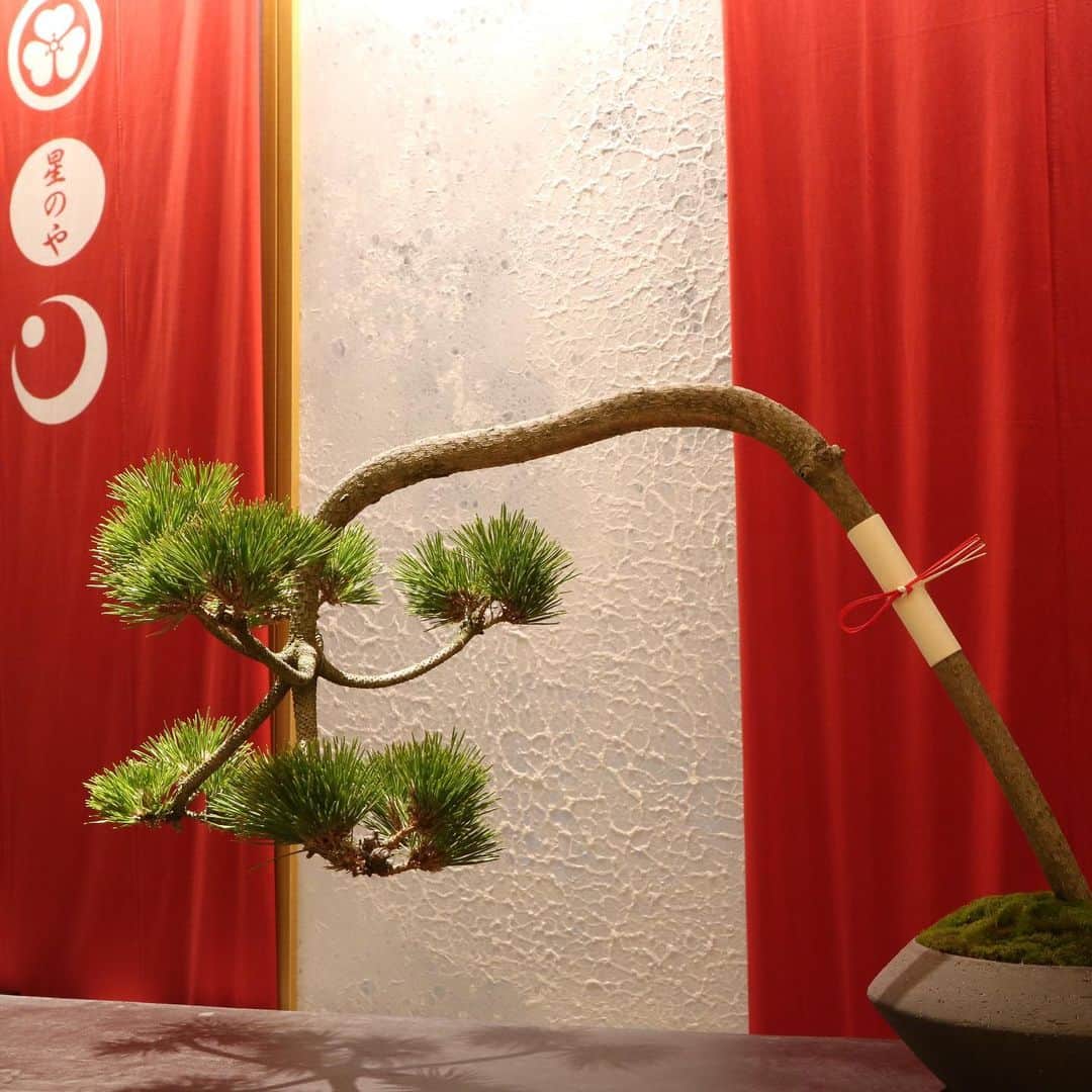 HOSHINOYA｜星のやさんのインスタグラム写真 - (HOSHINOYA｜星のやInstagram)「New Year Pines are decorated to wish for a bright New Year.  #hoshinoyatokyo #tokyo #ryokan #hoshinoya #hoshinoresorts #星のや東京 #旅館 #星のや #星野リゾート #年末年始 #門松」12月28日 18時18分 - hoshinoya.official