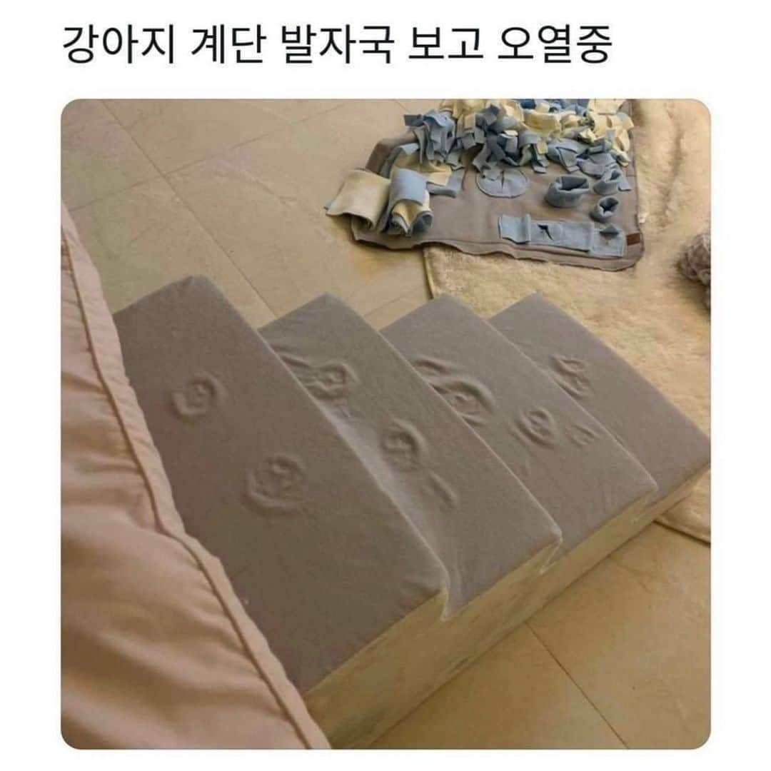 チェ・ソンジュンのインスタグラム：「이거 이해 하시는분 누구 설명좀 해주세요 😅」