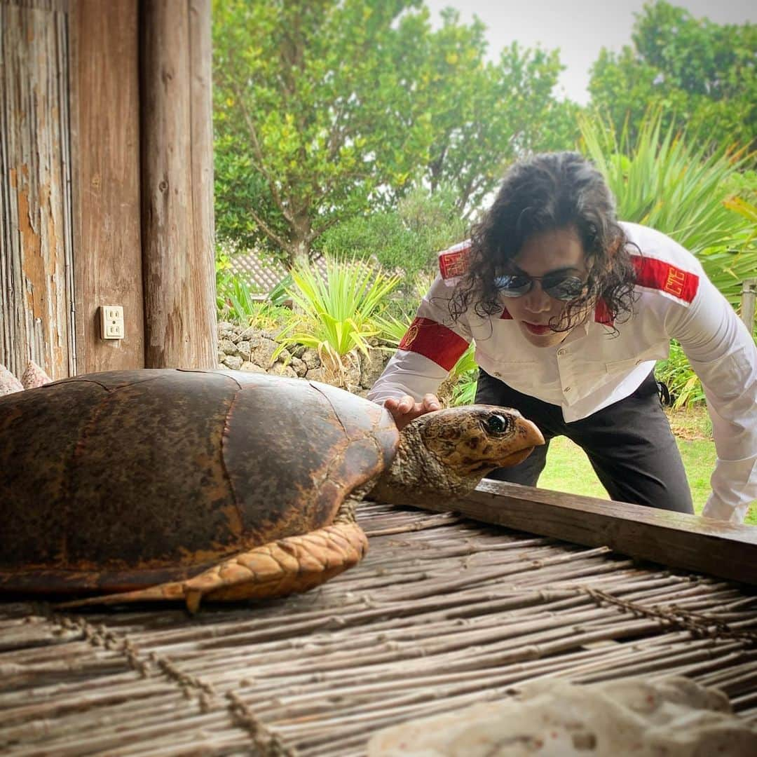 michaeljackton.officialさんのインスタグラム写真 - (michaeljackton.officialInstagram)「The Turtle and Michael🐢😎✨ . #michaeljackton #moonwalker #kingofpop ＃neverland #hideoman #michaeljackson #billiejean」12月28日 18時54分 - m.jackton