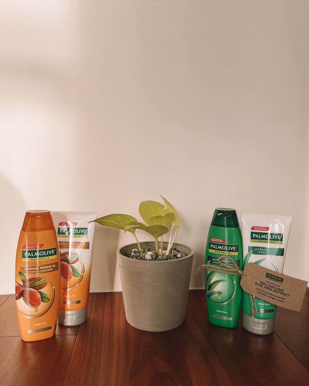 ジュリア バレットさんのインスタグラム写真 - (ジュリア バレットInstagram)「So happy I discovered @palmoliveph Damage Repair 10 shampoo and conditioner! It has Argan Oil extract that deeply nourishes and help #ReviveBugbogHairNaturally 🤎 Try it out for yourself too!」12月28日 18時55分 - juliabarretto