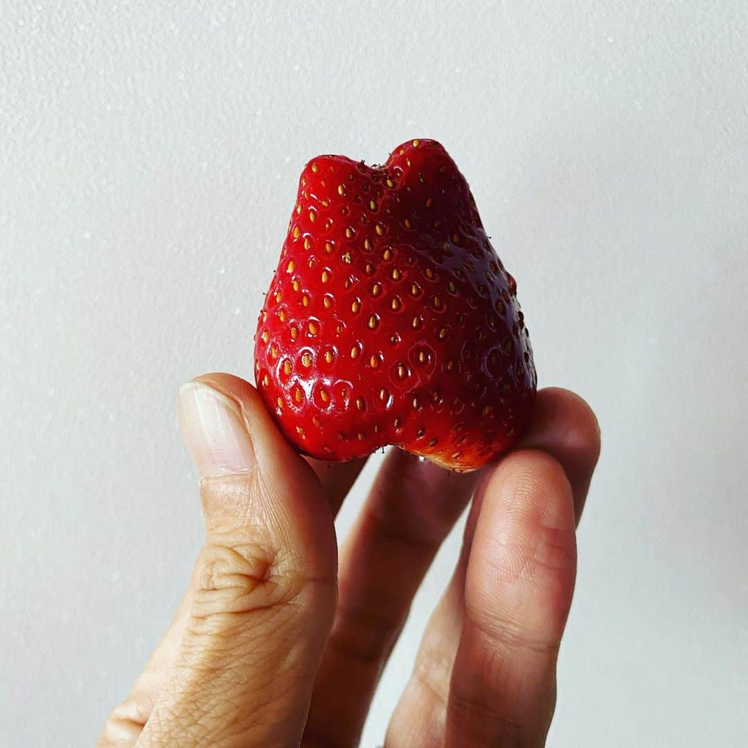窪塚洋介のインスタグラム：「いつもありがとう！ キラ星農園さん 🍓むっちゃ美味い♪」