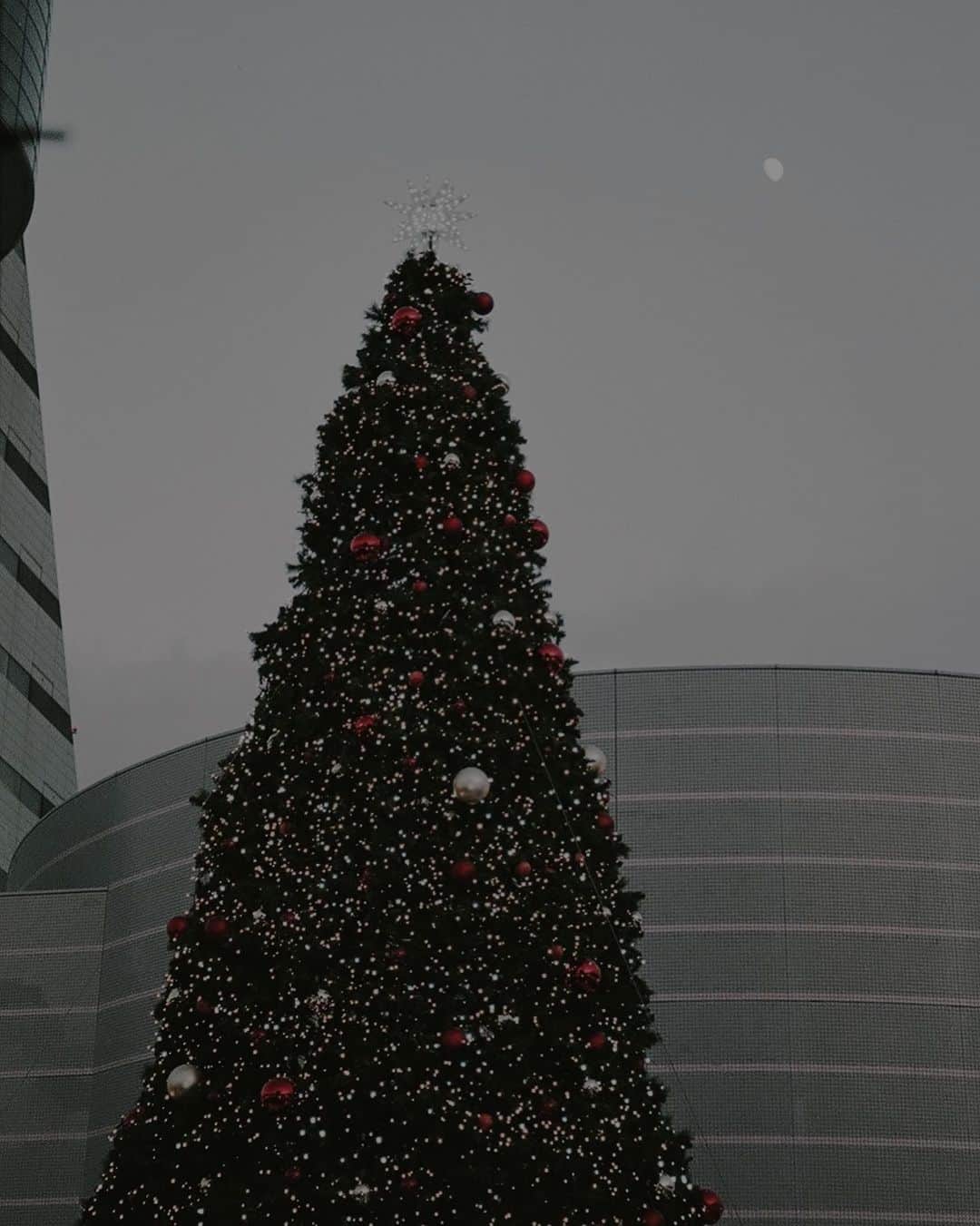 IA（アイエー）さんのインスタグラム写真 - (IA（アイエー）Instagram)「・ クリスマスも終わっちゃった。 このままウィルスも終わってくれ🎄  旅おさめ。」12月28日 19時00分 - iaiaiaz5