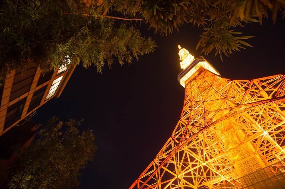 東京タワーの麓の結婚式さんのインスタグラム写真 - (東京タワーの麓の結婚式Instagram)「🗼 〈年末年始の営業に関するお知らせ〉 早いもので今年も残すところあと3日ですね The Place of Tokyoウェディングサロンは 本日28日(月)を持って2020年の営業を終了し 年始は1月3日(日)から営業を再開いたします🗼  年末年始の期間中、ホームページやWEBからの ご見学予約は随時受け付けております🕊🍀  The Place of Tokyoでは引き続き ウイルス感染対策も徹底しております。 ぜひお気軽にお申し込みください！  詳細は(@theplaceoftokyo )まで♡  #theplaceoftokyo #プレイスオブトウキョウ #プレイスオブトーキョー #プレイスオブ東京 #ザプレイスオブトーキョー #ザプレイスオブ東京 #ザプレイスオブトーキョー #ゲストハウス婚 #令和2年婚 #東京タワー #東京タワーが好き #tokyotower #tokyowedding #東京タワーが見える #2021婚 #2021wedding #2021夏婚 #2021秋婚 #2020冬婚 #結婚式準備 #結婚式  #ちーむ2020 #ちーむ2021 #東京花嫁 #プレ花嫁準備 #ぷれ花嫁 #プレ花嫁 #東京タワーの麓 #今年も1年 #たくさんのありがとう #よいお年をお迎えください」12月28日 19時24分 - theplaceoftokyo