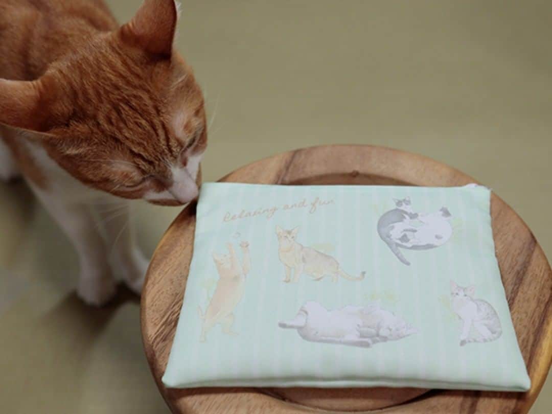 Miaouのインスタグラム：「12 Cats Full Color Zipper Pouch[]  https://nekobeya.hyogo.jp/en  <This product will require a reservation>  #Miaou猫部屋  *Due date for making reservations is January 4th 2021 (payment confirmation will be available on January 5th).  *Products are scheduled to be shipped in the beginning of February   *payment in advance  *If you get our products in End of the year and New year holiday or other Japanese holiday, it might get 2 days delayed than usual.  Thank you for your understanding and I hope you enjoy your products.」