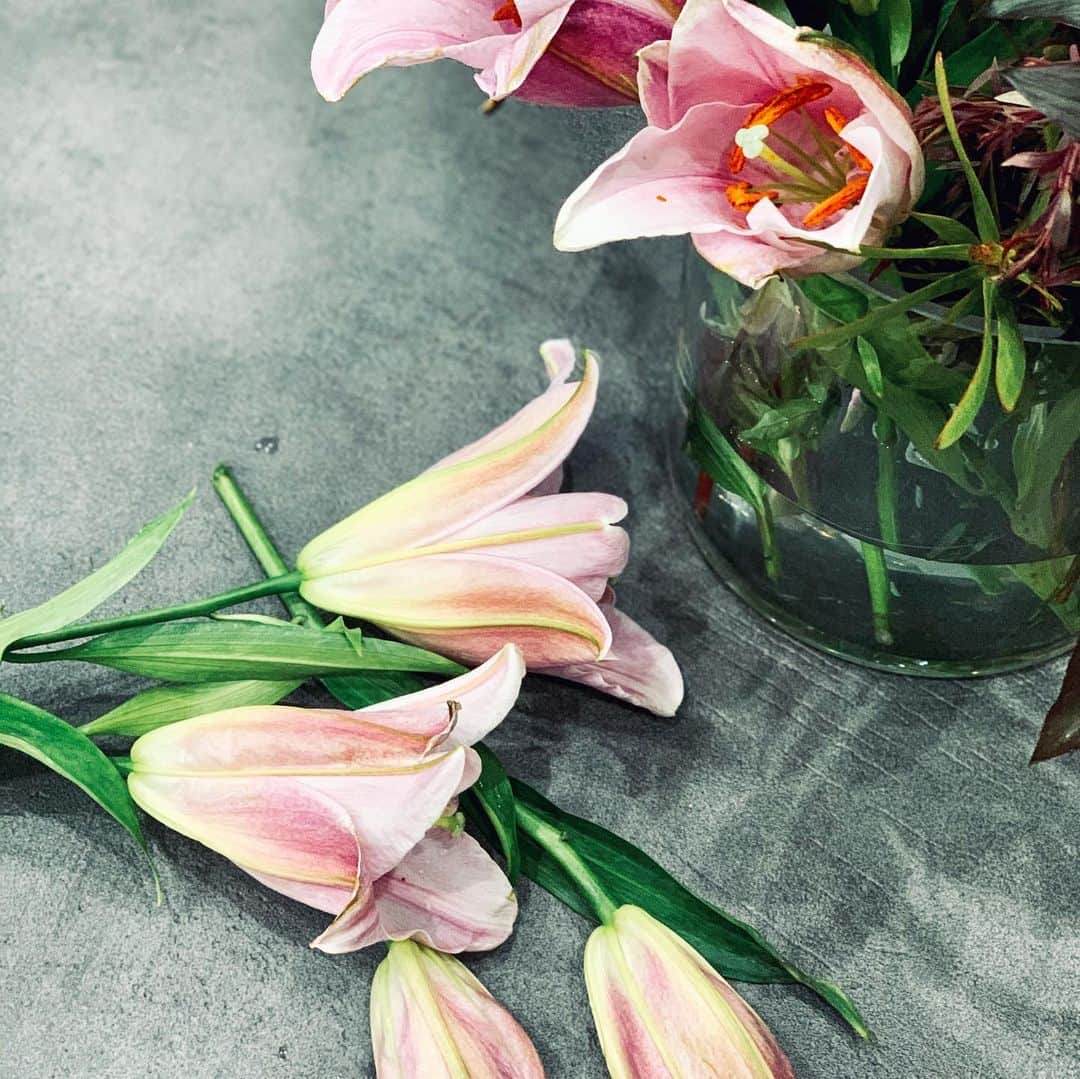 RIKAPEPEのインスタグラム：「「どんなに美しい造花より、一輪の“生花”でありたい。花盛りだけでなく、朽ちゆく姿にも色香を漂わせて、誰かの心を魅了できたら幸せです。」と、女優山口智子さんがVOGUE @voguejapan のインタビューで語っていて素敵だった。 ・ お祝いいただいたお花は、最後まで綺麗に咲いてもらう為に、切り花にして、水揚げして、自己流アレンジメント。道場に飾らせていただきます。お花、有難うございます💐 ・ 次のコラムは、花と女について書きました。  #花のある暮らし  #花のある生活  #百合　#カサブランカ  #花と女」
