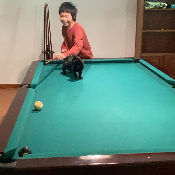 艾未未のインスタグラム