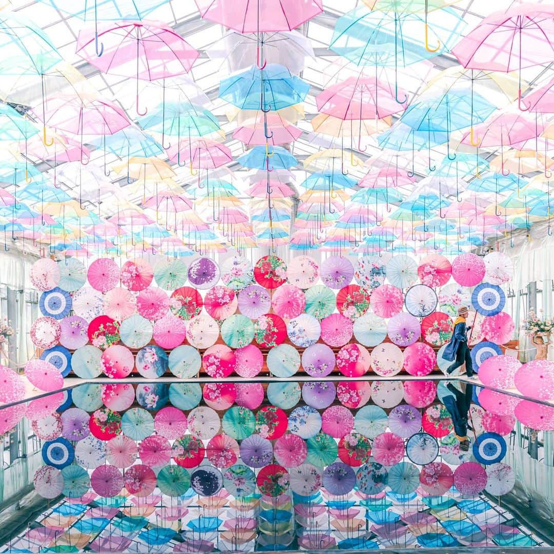 6151のインスタグラム：「雨が降る日もいい天気。」