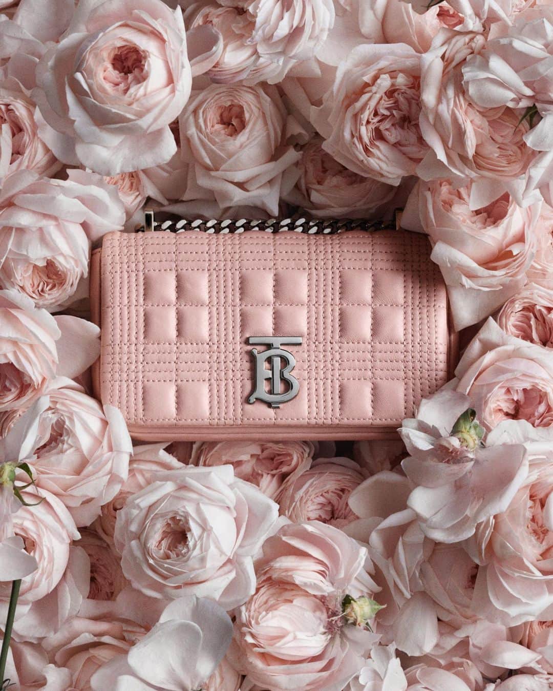 Burberryのインスタグラム