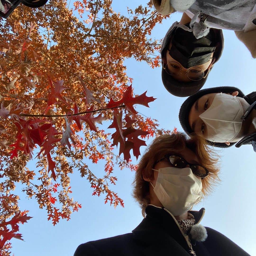 SEVENTEENさんのインスタグラム写真 - (SEVENTEENInstagram)「TTT」12月28日 23時07分 - saythename_17