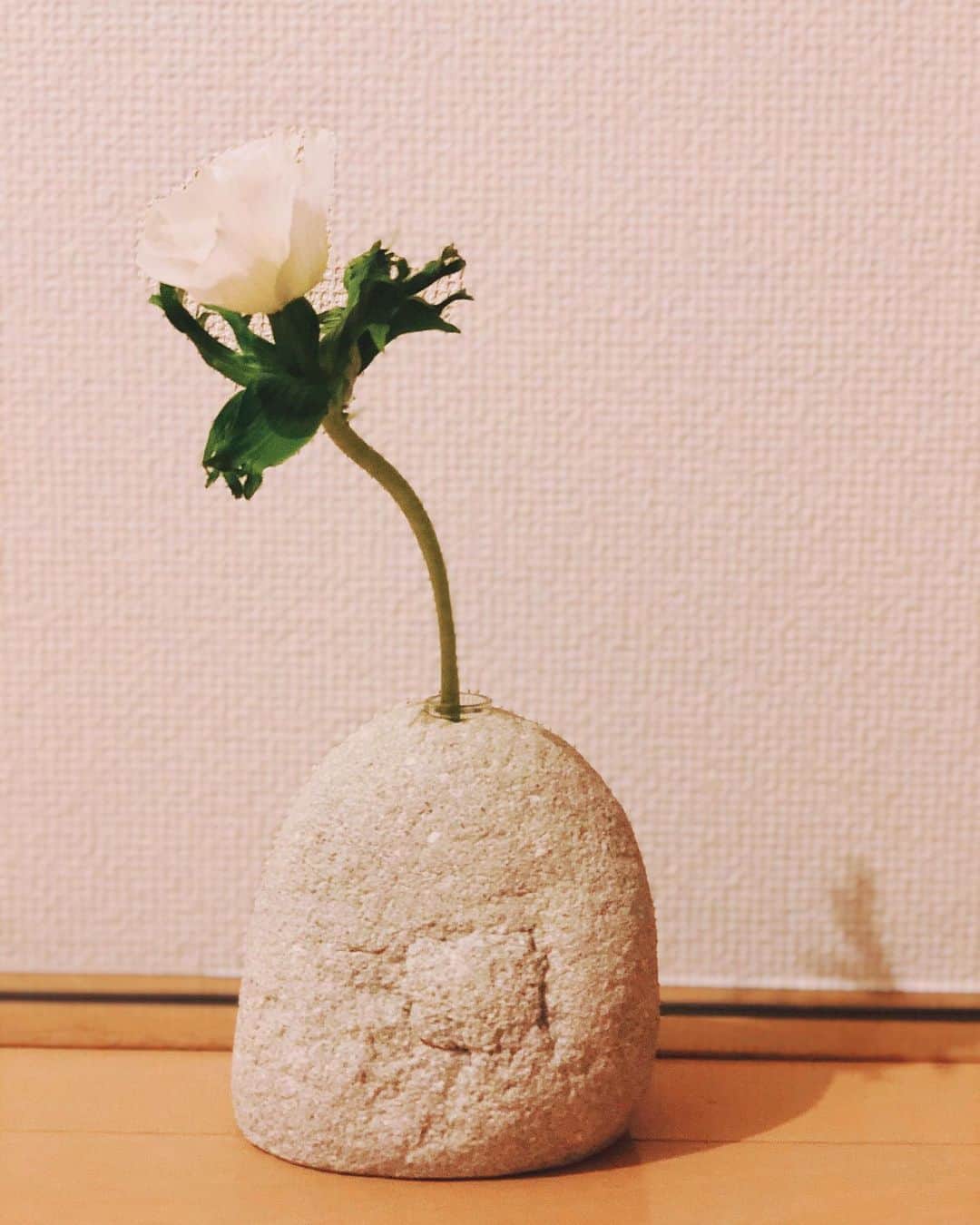 長井短さんのインスタグラム写真 - (長井短Instagram)「結婚祝いで頂いた花瓶が、超木と超石でめっちゃ可愛い…3枚目は、写真を撮るために加湿器をどかそうとしたら倒して水をぶちまけたところです。びしょびしょです🤗🤗」12月28日 23時13分 - 0mijika0