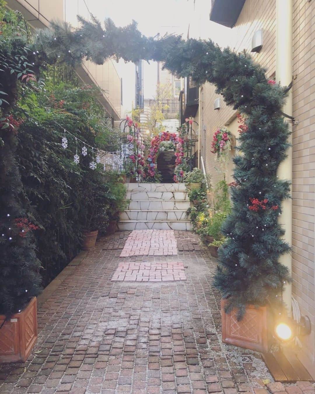 及川愛未のインスタグラム：「プライベートなクリスマス🥂🎄は週明け28日でした。仕事納めした友達と昼間に合流してやっとプレゼント交換🎁🎁 代官山ラブレさんでフレンチランチ🍽 お花いっぱいで癒されました🌸ジュレもお肉も美味しく、スイーツはワゴンから食べ放題でした😋✨ 今年は私は手作りづくしで笑　24日のケーキをまた再現して🎂、イニシャル入り ポーラセーツマグ☕️を渡しました👏✨ もらったプレゼントはGUCCIのスカーフ🧣😂首に巻いたり、鞄につけたり、髪に巻こうと思います！今年もクリスマスリク撮２回入れてもらえたり、、公私ともに周りの方のご厚意（ご好意もw）を感じぽかぽかしたクリスマスでした☃️  #shooting #撮影 #仕事納め #private #merrychristmas #merrychristmas🎄 #christmas #サンタクロース #プレゼント交換 #christmaspresent #gucci #christmascake #ポーラセーツ #手作り #model #サロンモデル #ウェディングモデル #ブライダルモデル　 #ポートレートしま専科  #ポートレート  #photography  #写真  #写真好きな人と繋がりたい  #写真撮るの好き人と繋がりたい  #portraitmodel  #東京カメラ部  #カメラマン募集  #ファインダー #ファインダー越しの私の世界  #followme ‪ ‬」