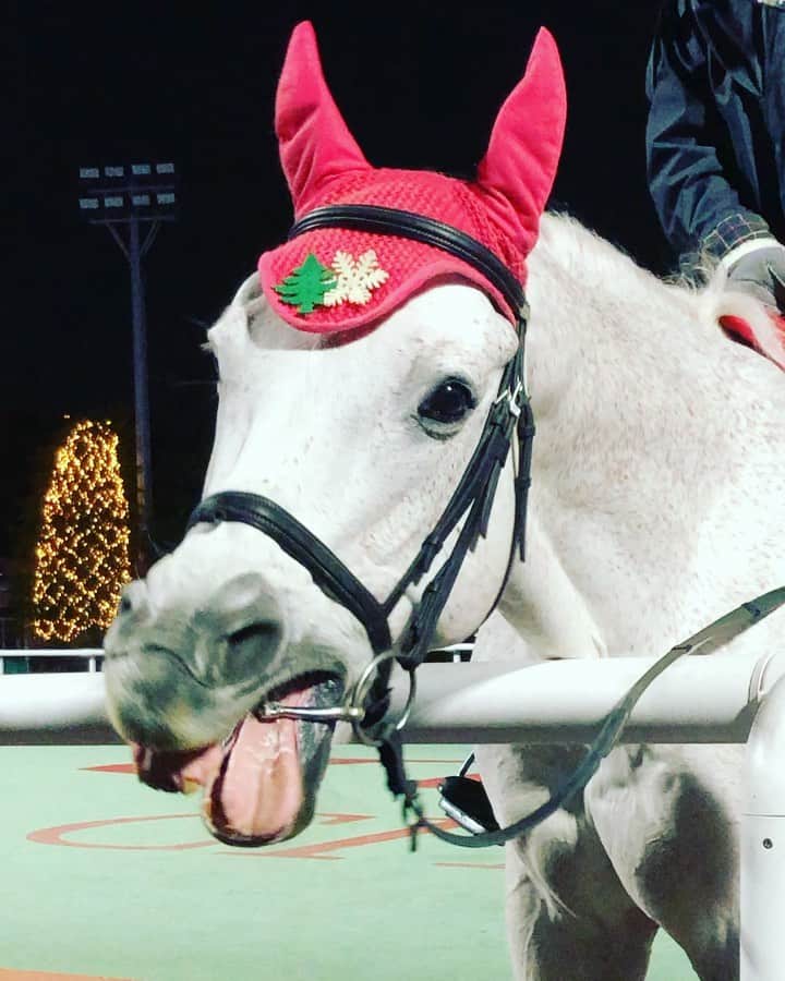 のインスタグラム：「可愛すぎる…眠たそうな馬最強説出て来たな😍 #競馬のない日はメガイルミ #TCK #眠そうな馬」