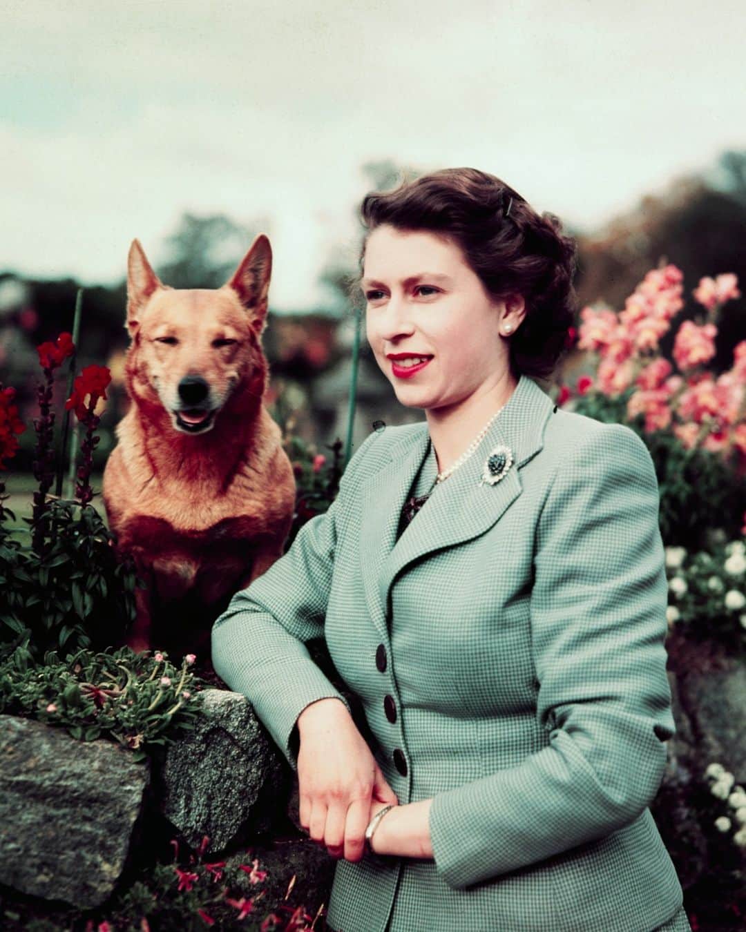 British Vogueさんのインスタグラム写真 - (British VogueInstagram)「With the news that the Queen's speech was the most watched show on Christmas Day (over eight million people tuned in), take a look back through the most stunning archive images of Her Majesty. Click the link in bio for a detailed look at Queen Elizabeth II’s wardrobe evolution.   The Queen at Balmoral Castle with one of her corgis, 1952.」12月29日 2時05分 - britishvogue